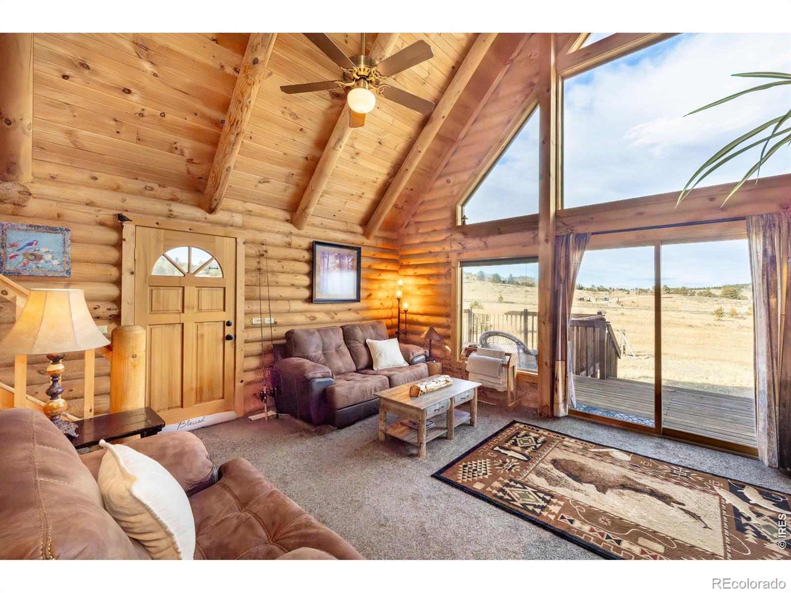 MLS Image #28 for 120 n cucharas mountain court,livermore, Colorado