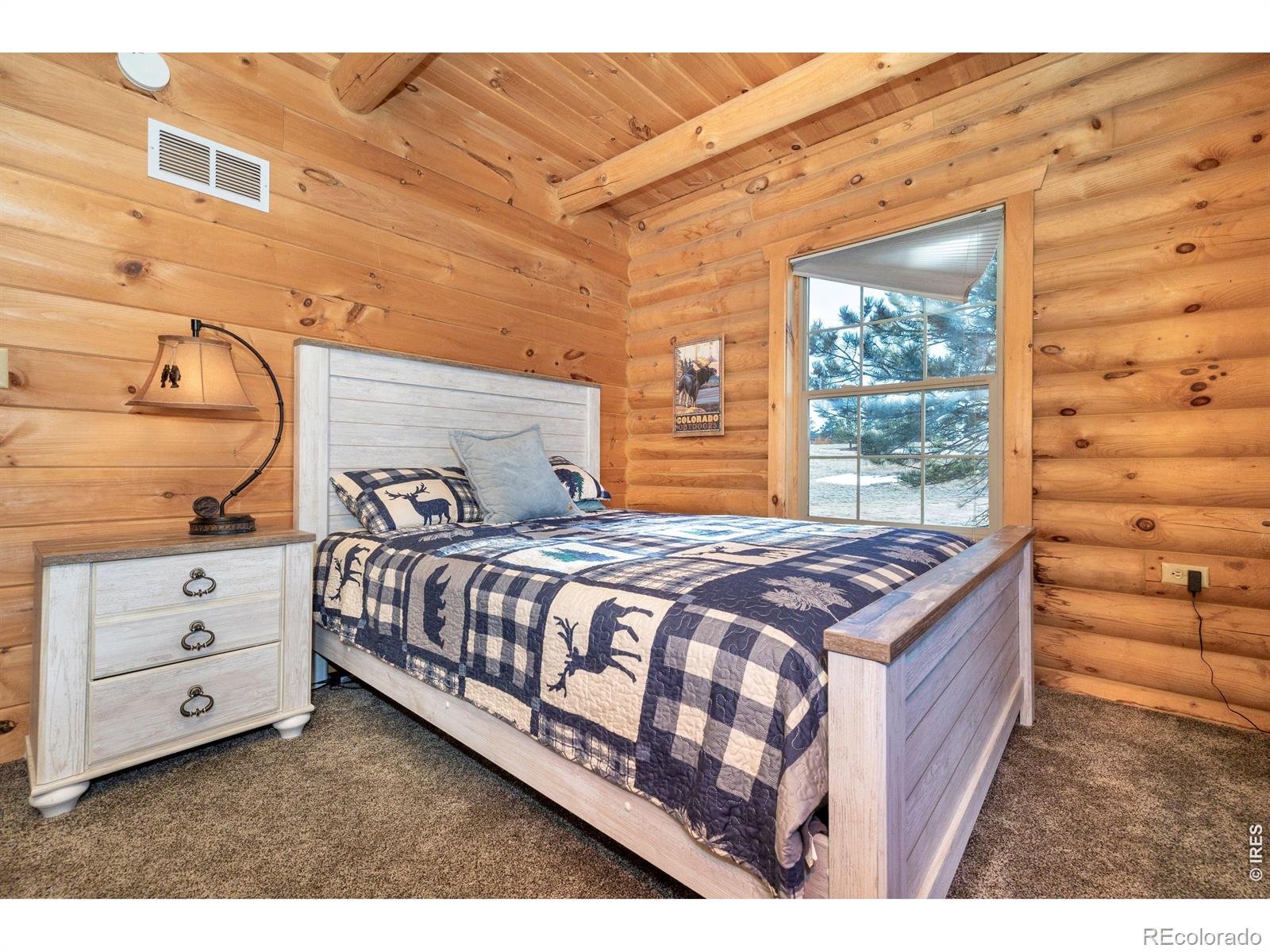 MLS Image #32 for 120 n cucharas mountain court,livermore, Colorado