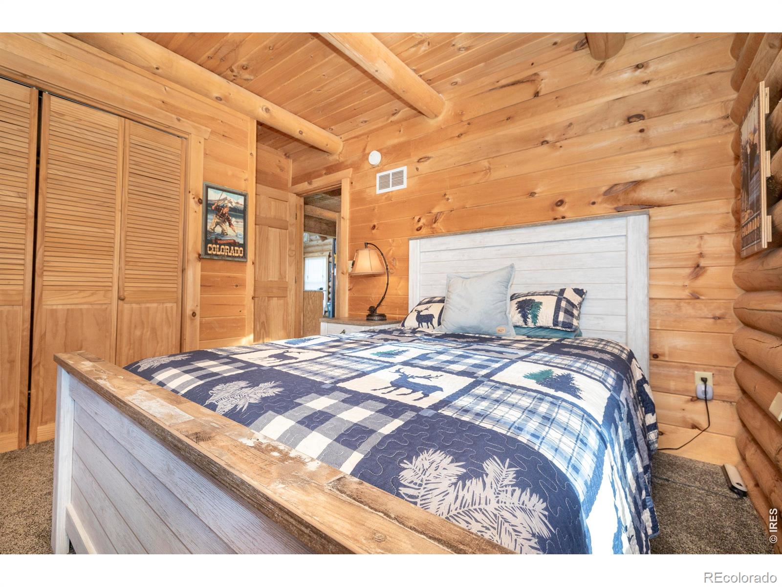 MLS Image #33 for 120 n cucharas mountain court,livermore, Colorado
