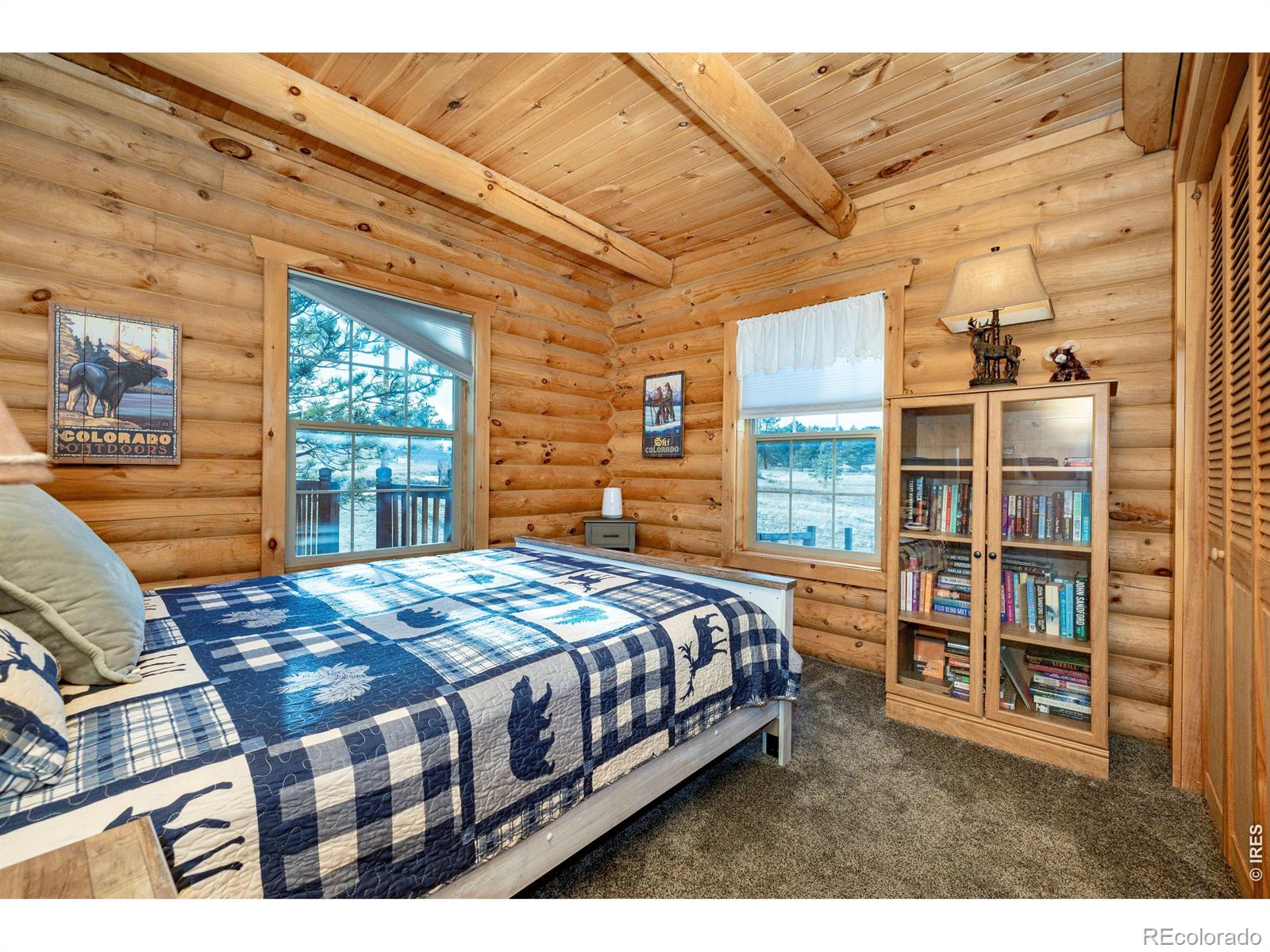MLS Image #34 for 120 n cucharas mountain court,livermore, Colorado