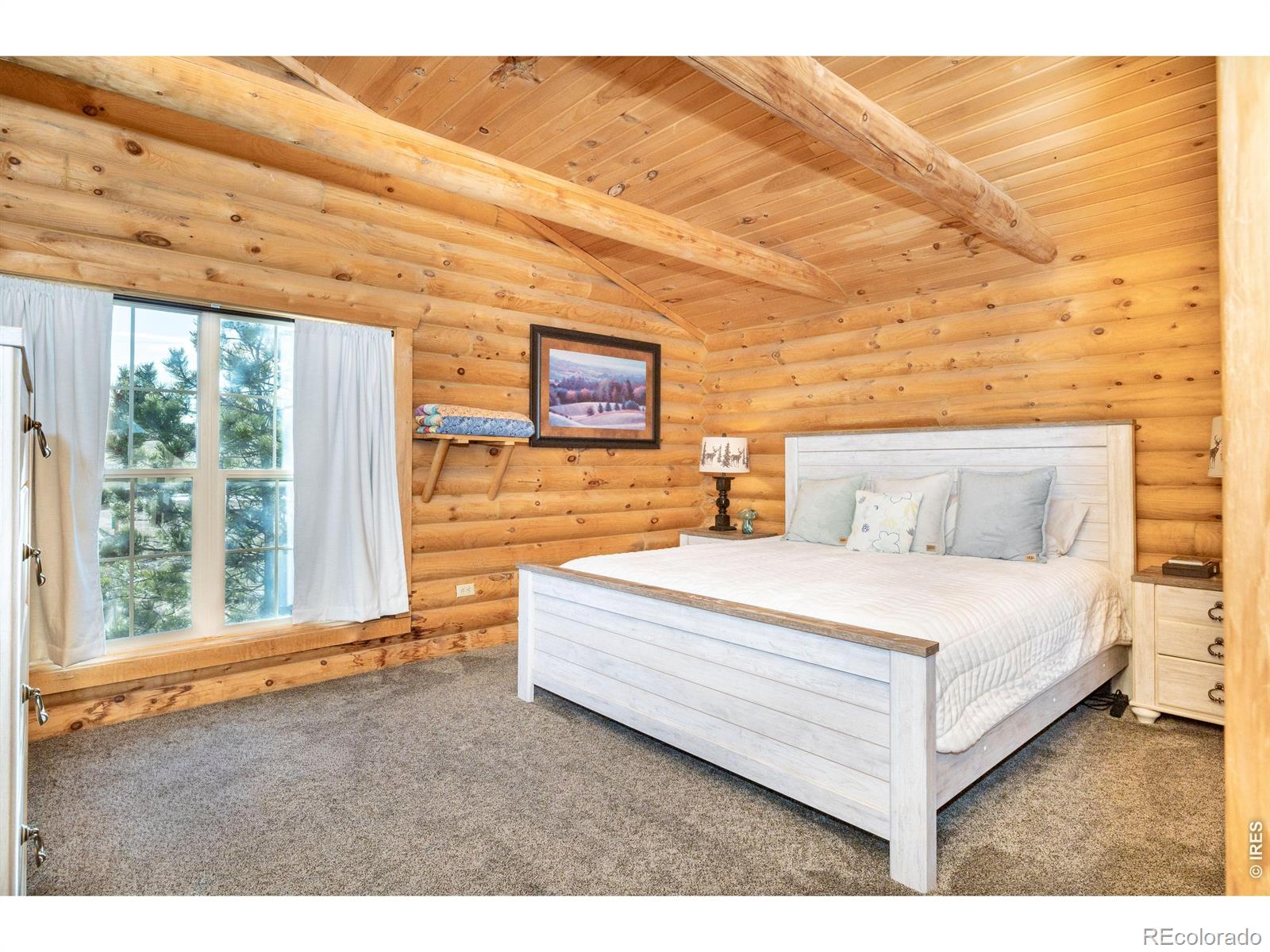 MLS Image #39 for 120 n cucharas mountain court,livermore, Colorado