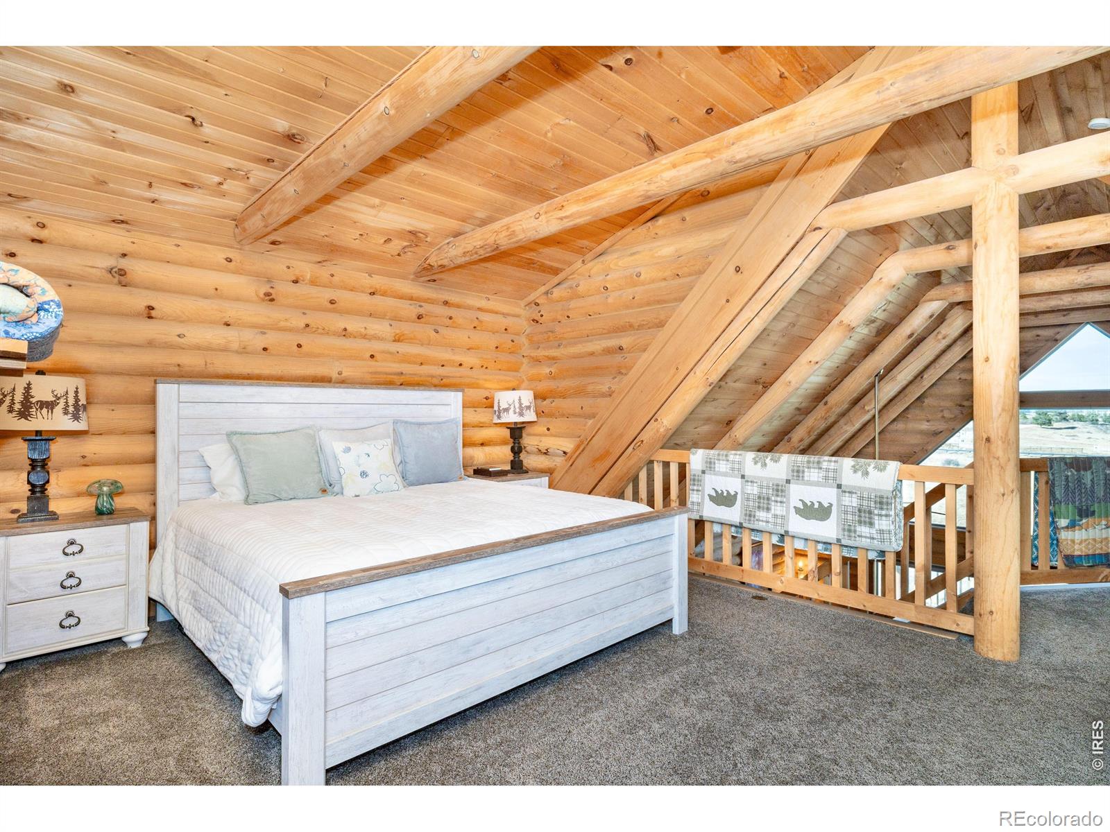 MLS Image #40 for 120 n cucharas mountain court,livermore, Colorado
