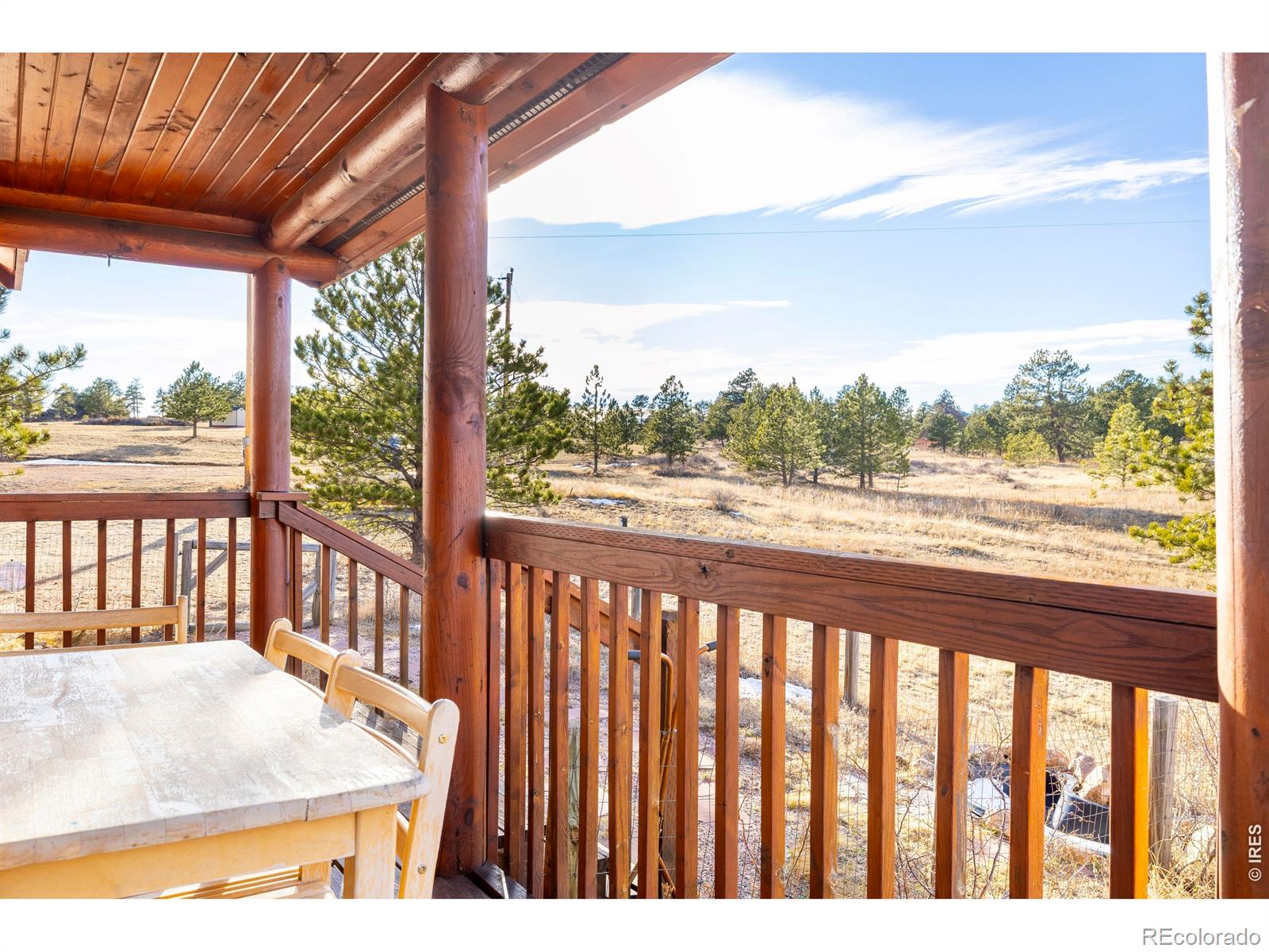 MLS Image #5 for 120 n cucharas mountain court,livermore, Colorado