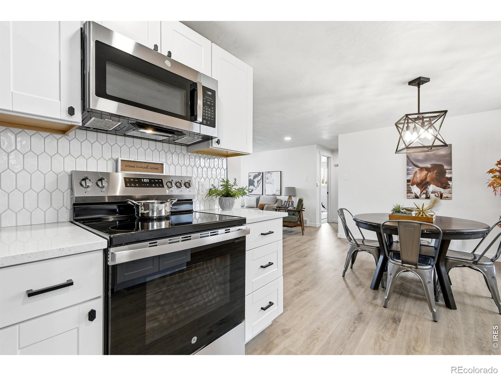 MLS Image #13 for 1239  sunset street,longmont, Colorado