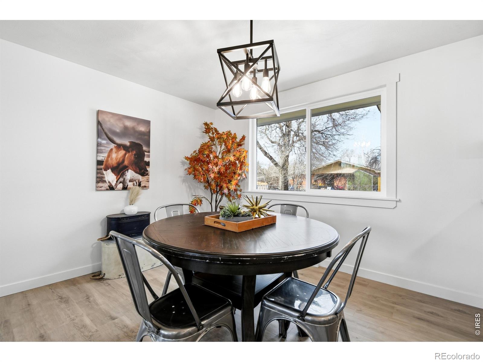 MLS Image #15 for 1239  sunset street,longmont, Colorado