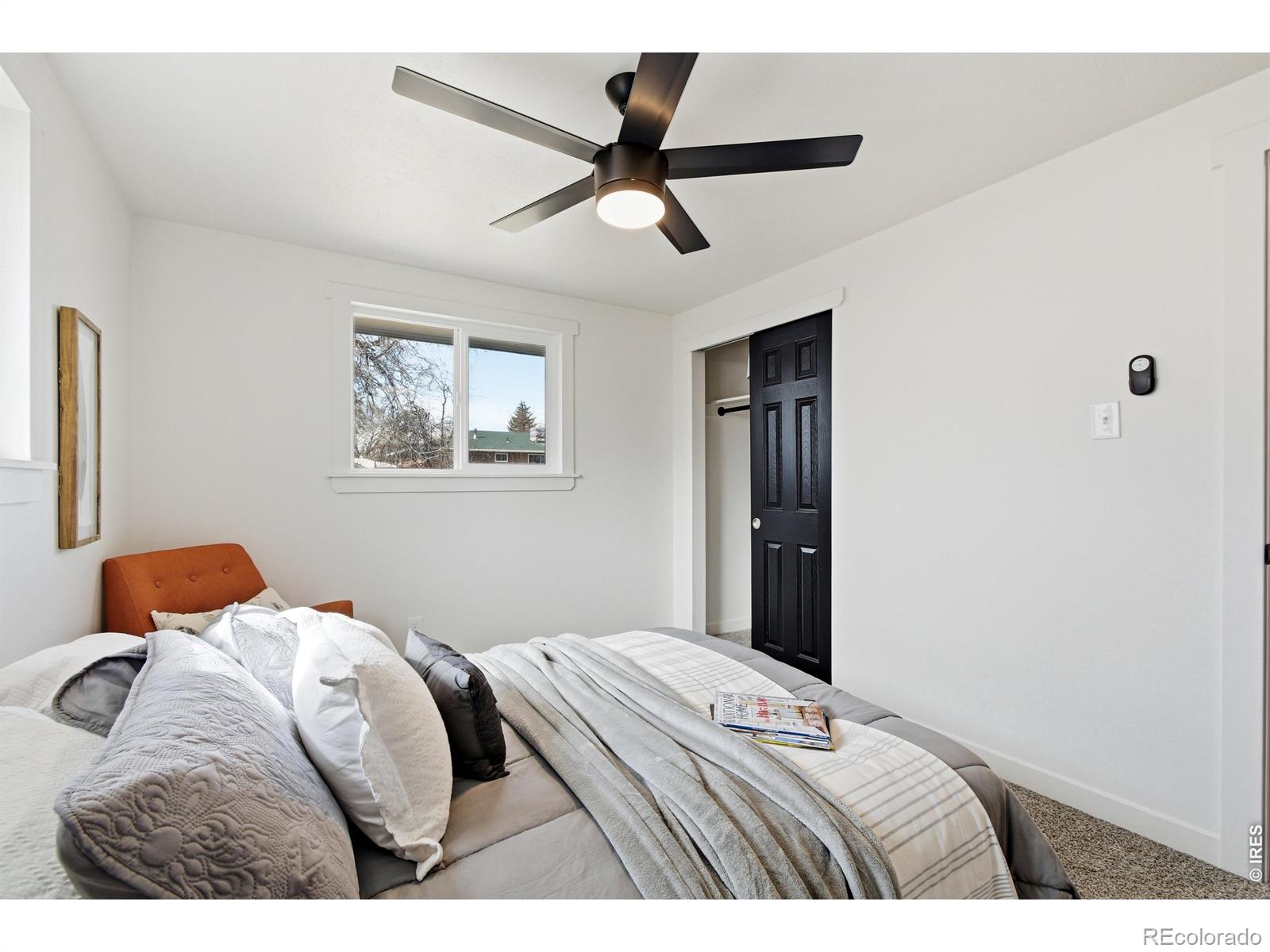MLS Image #22 for 1239  sunset street,longmont, Colorado