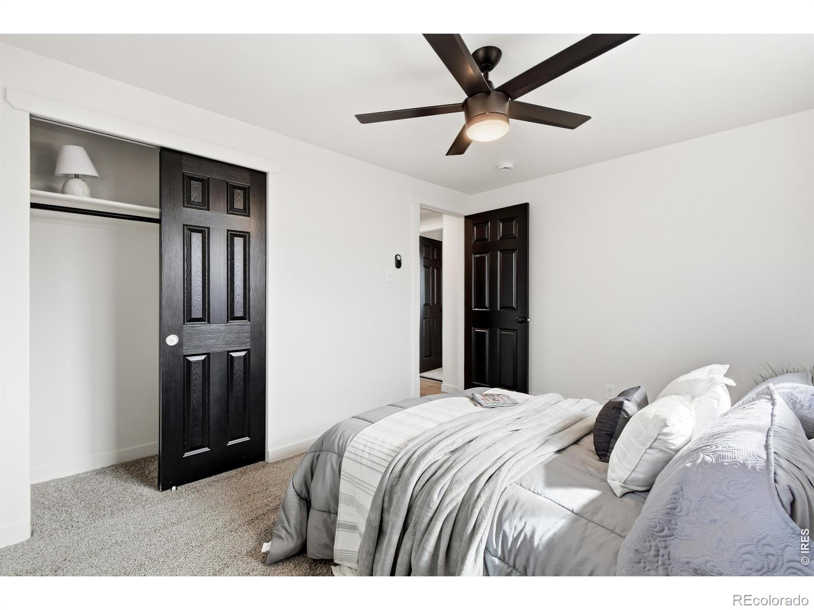 MLS Image #23 for 1239  sunset street,longmont, Colorado