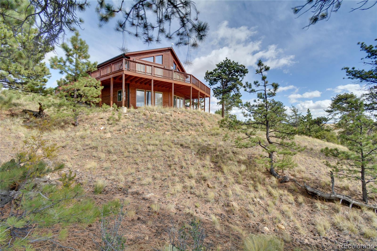 MLS Image #2 for 423  wagon wheel road,hartsel, Colorado
