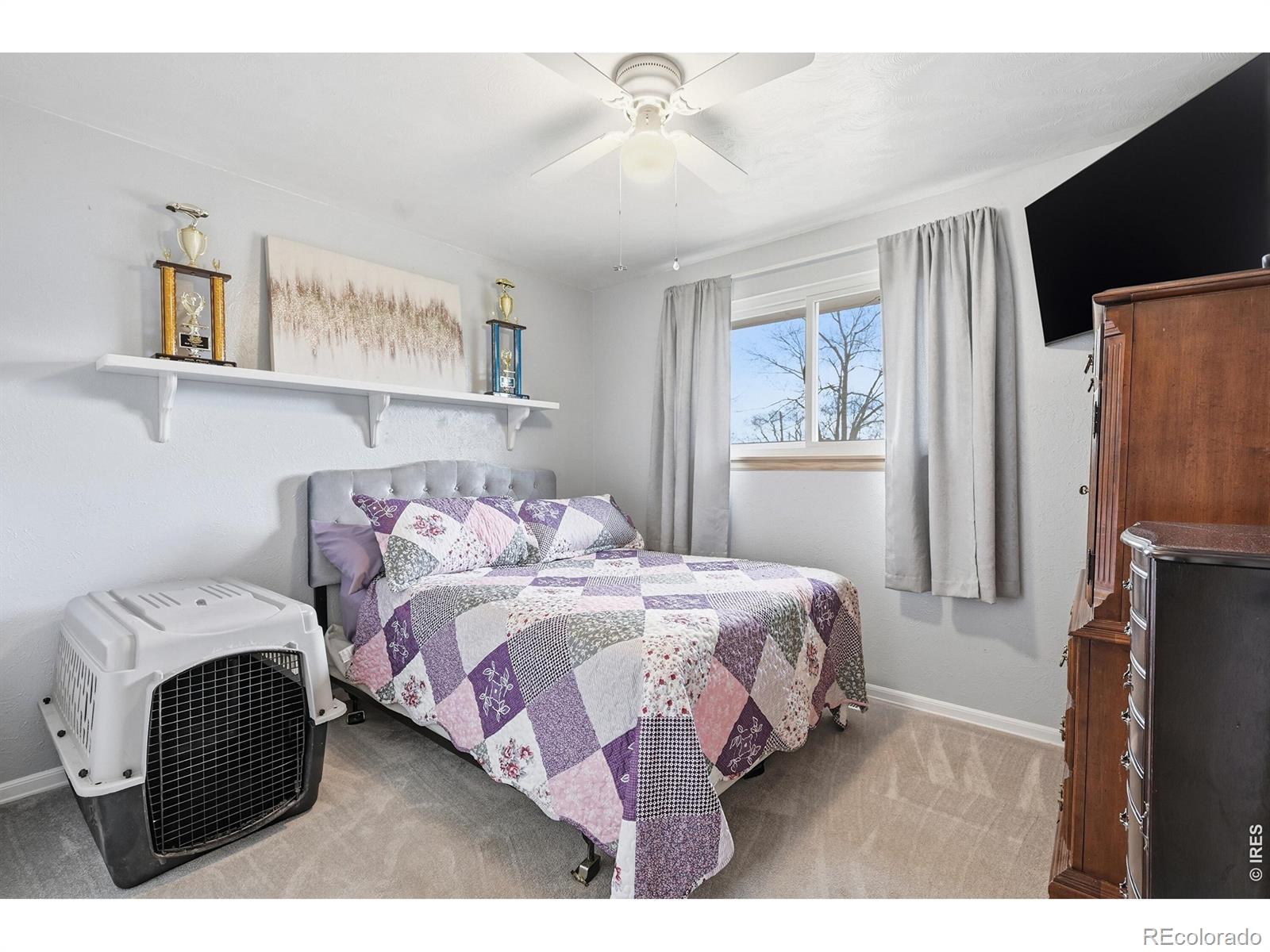 MLS Image #14 for 8  elizabeth court,longmont, Colorado