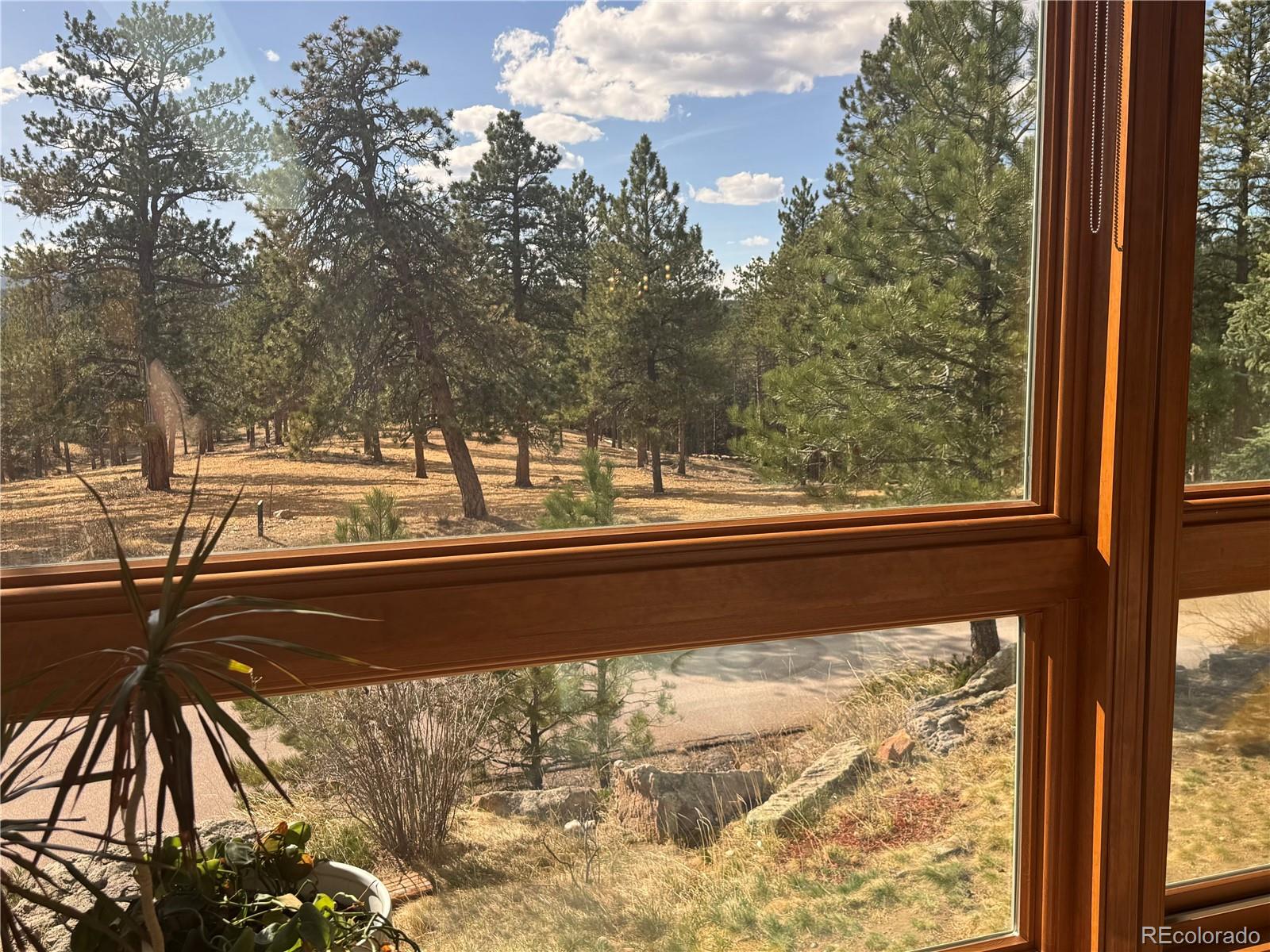 MLS Image #10 for 1624  tamarac drive,golden, Colorado