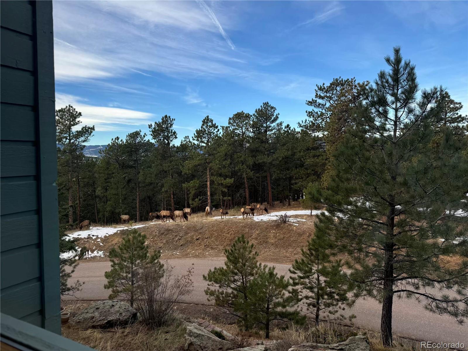 MLS Image #16 for 1624  tamarac drive,golden, Colorado