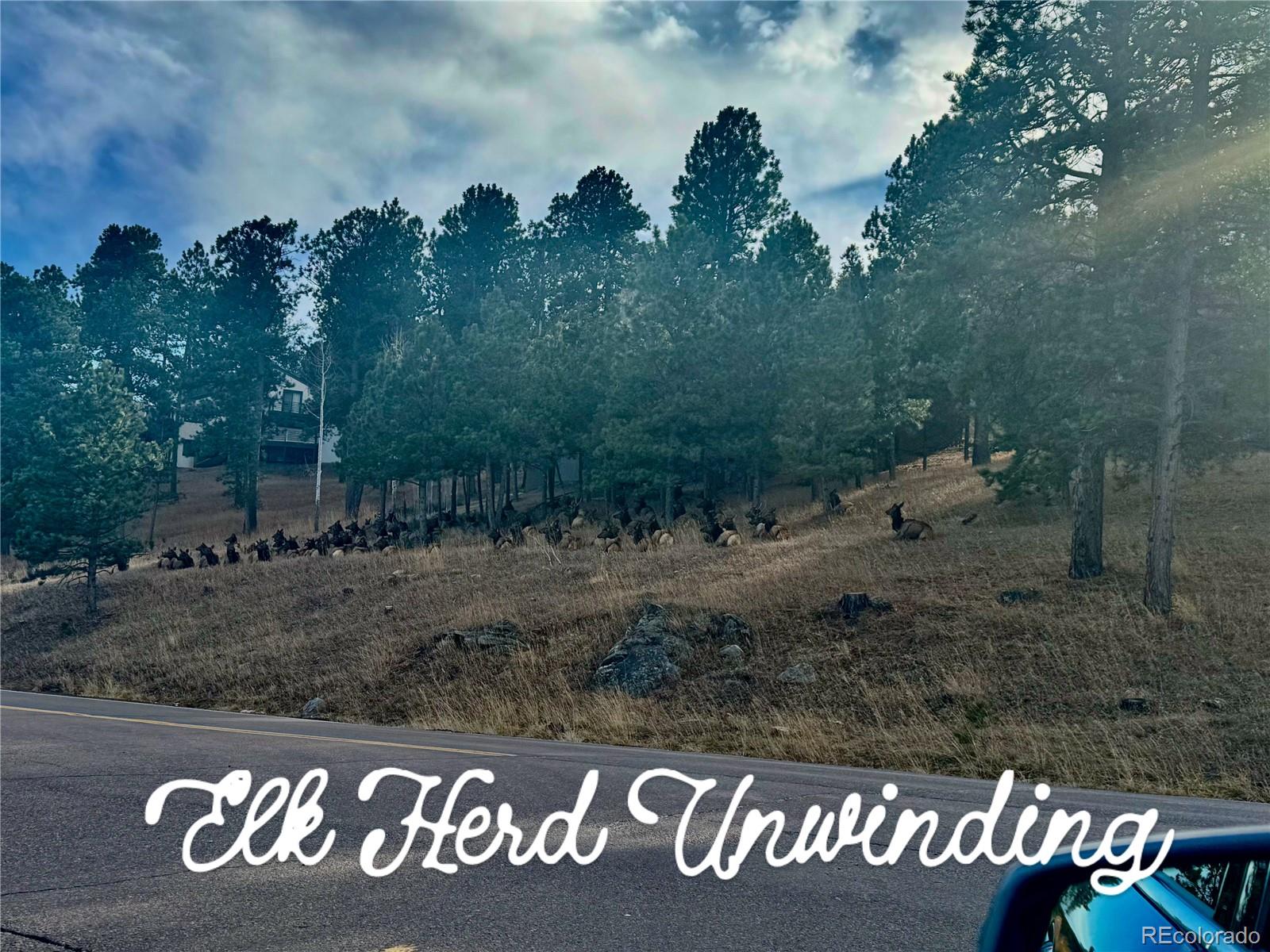 MLS Image #46 for 1624  tamarac drive,golden, Colorado