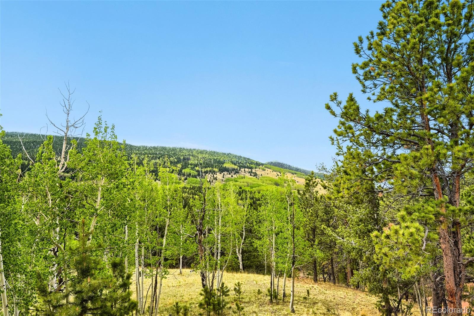 MLS Image #26 for 507  yorktown road,cripple creek, Colorado