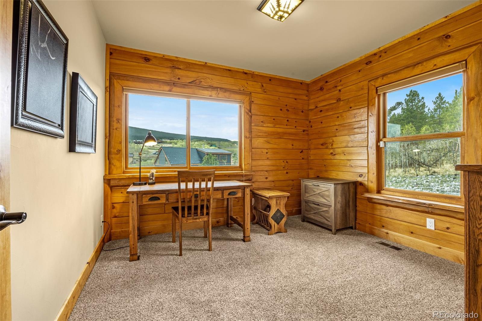 MLS Image #13 for 3418  high creek road,fairplay, Colorado