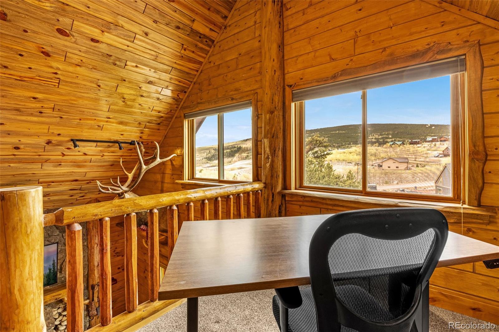 MLS Image #20 for 3418  high creek road,fairplay, Colorado