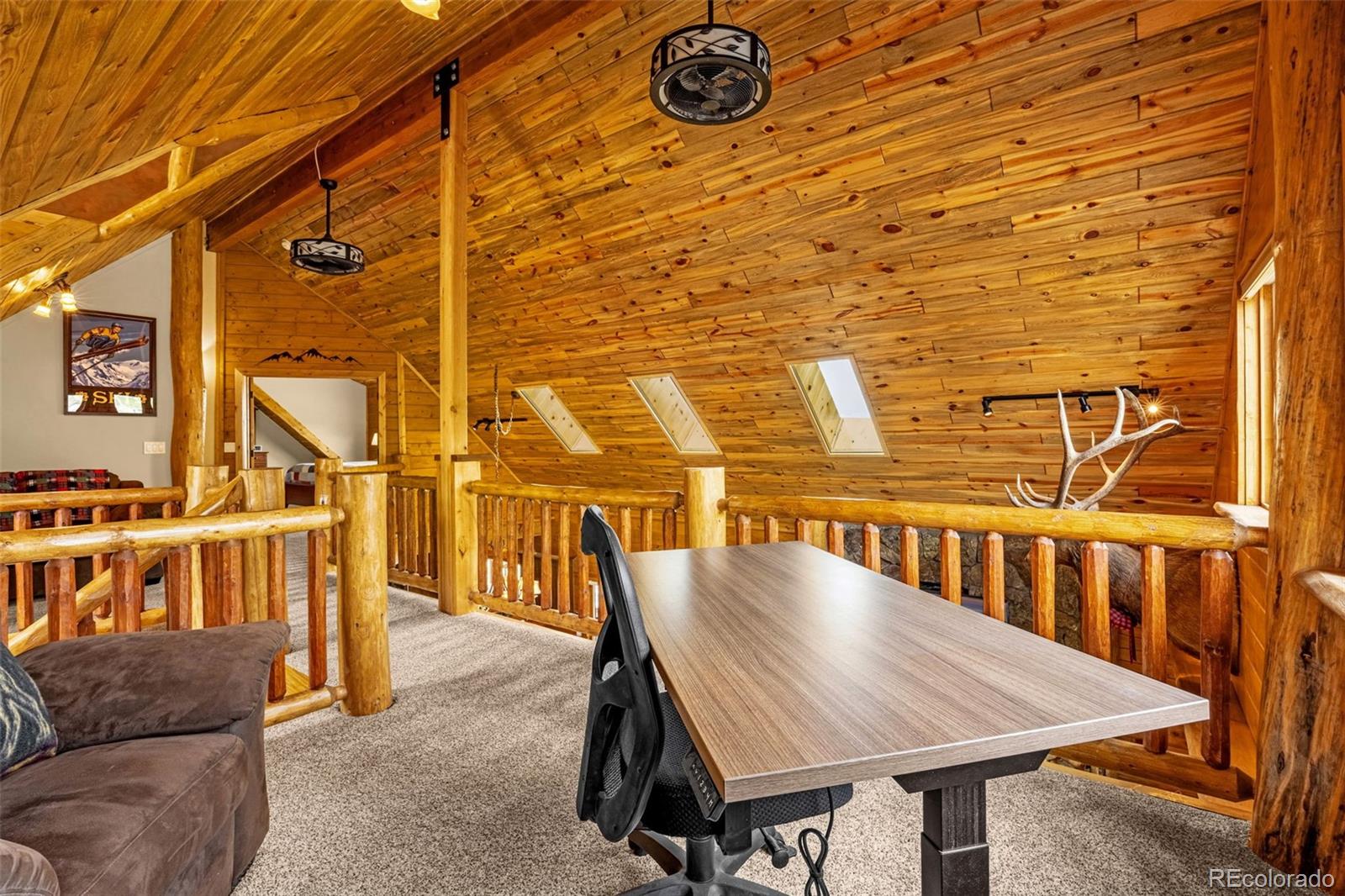 MLS Image #21 for 3418  high creek road,fairplay, Colorado