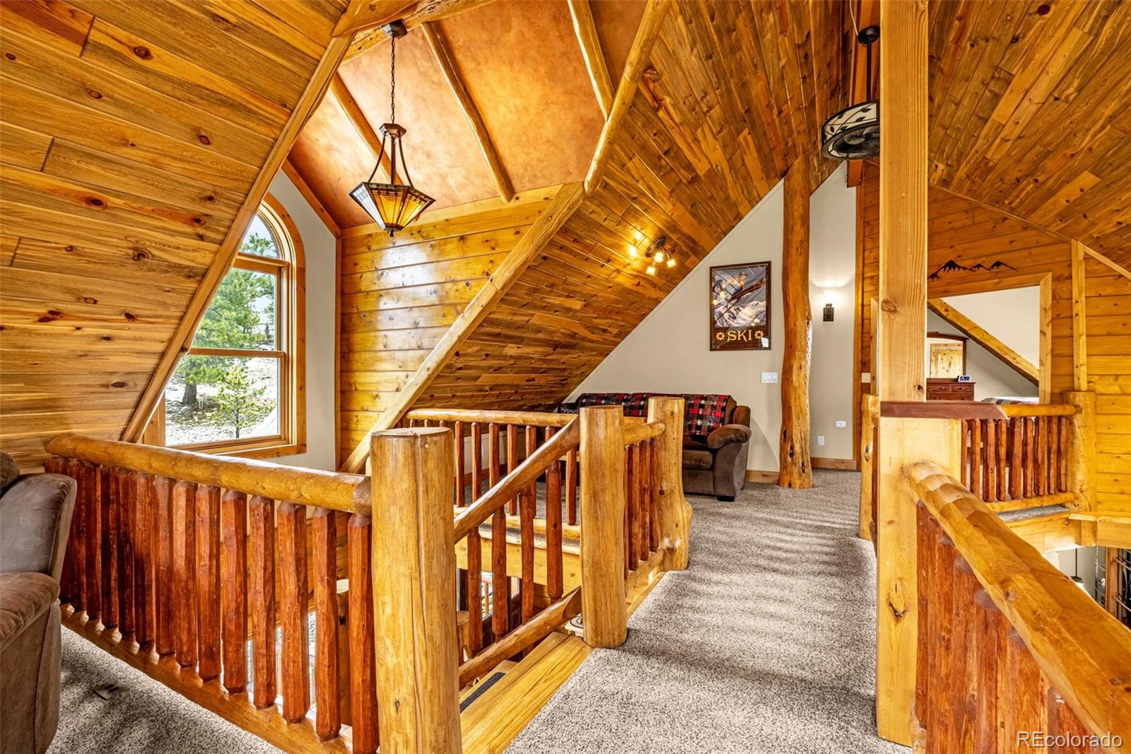 MLS Image #22 for 3418  high creek road,fairplay, Colorado