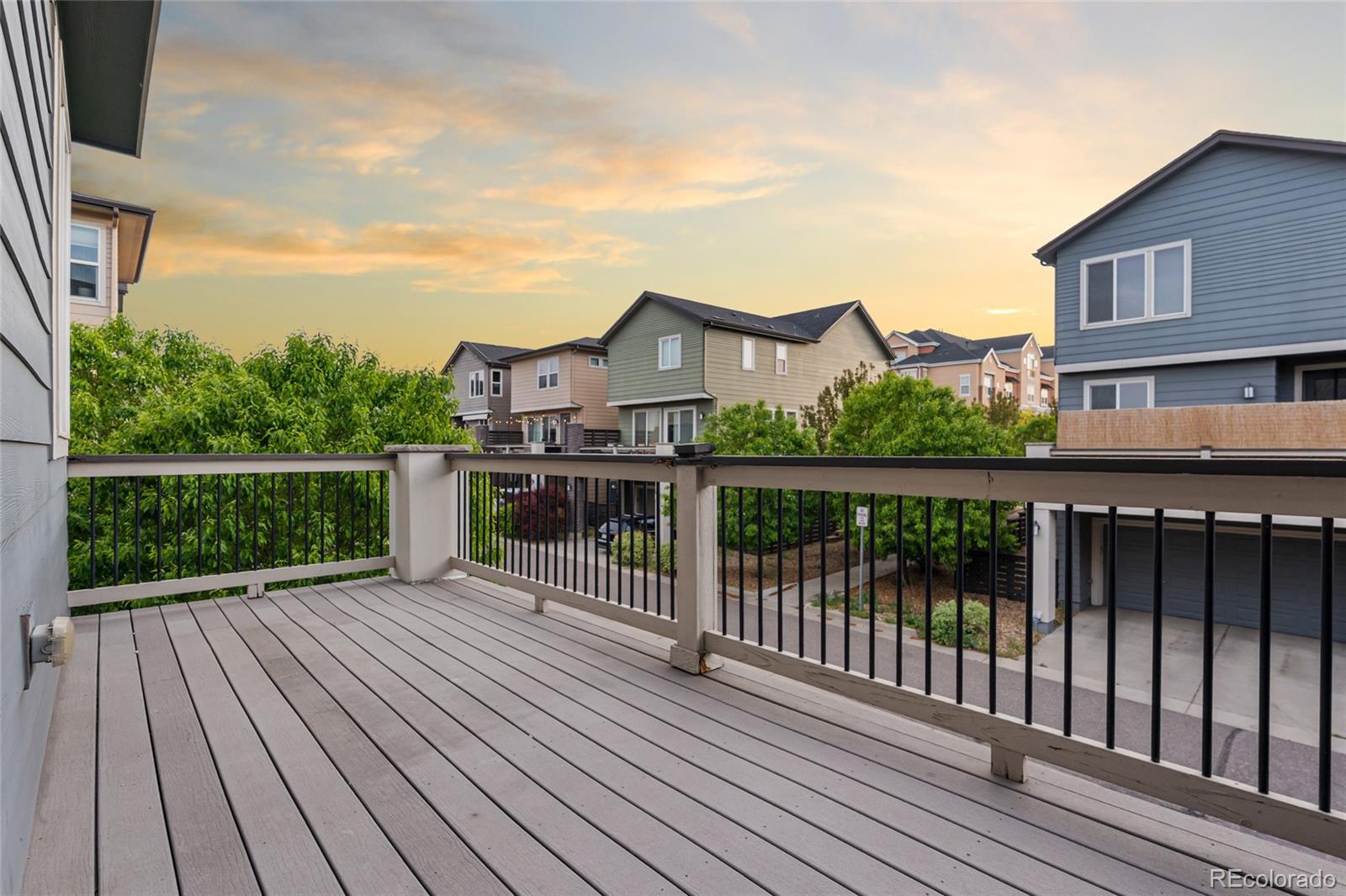 MLS Image #13 for 4100  albion street,denver, Colorado
