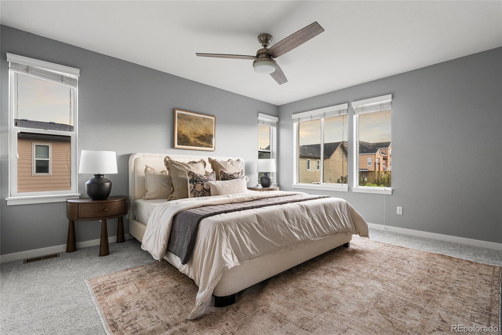 MLS Image #16 for 4100  albion street,denver, Colorado