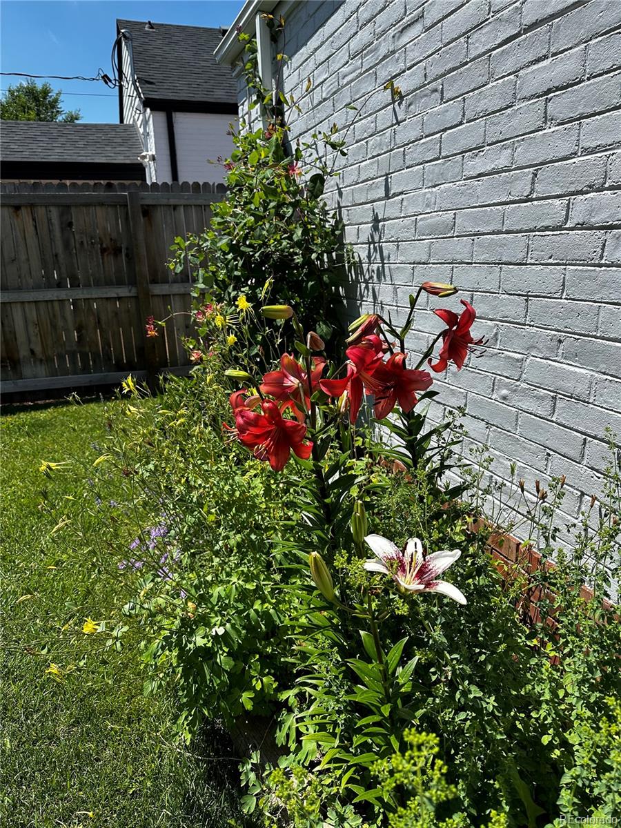 MLS Image #3 for 1212  magnolia street,denver, Colorado