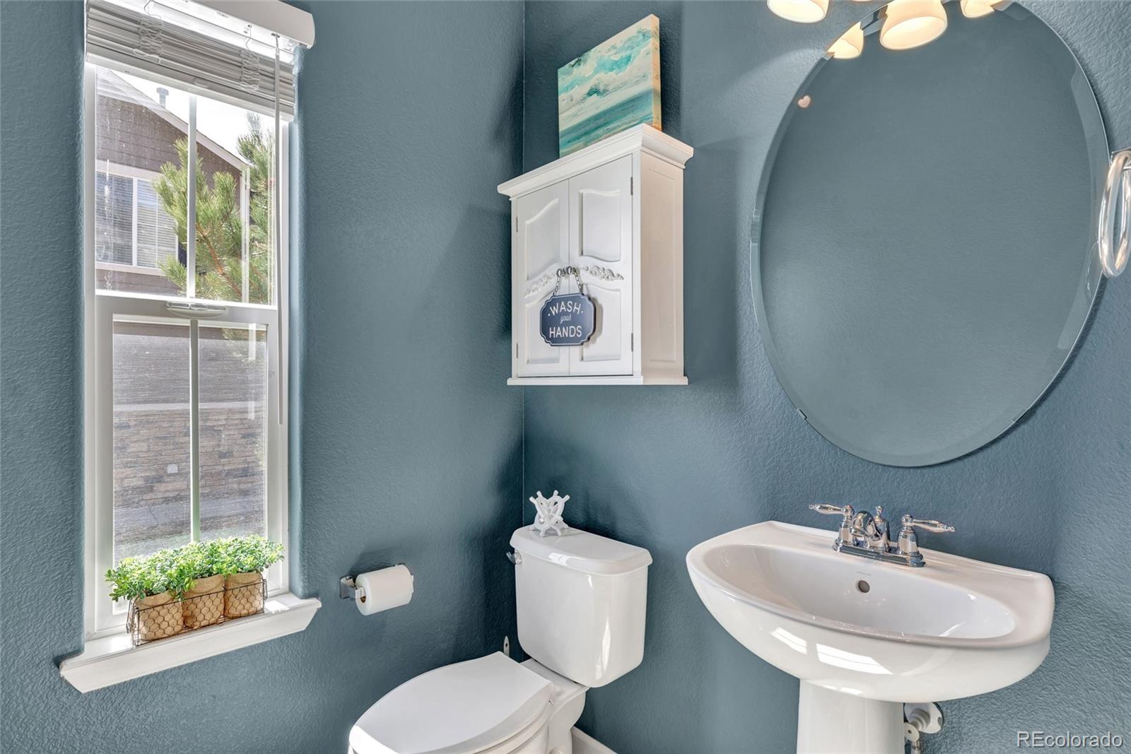 MLS Image #15 for 17099  blue mist grove,monument, Colorado