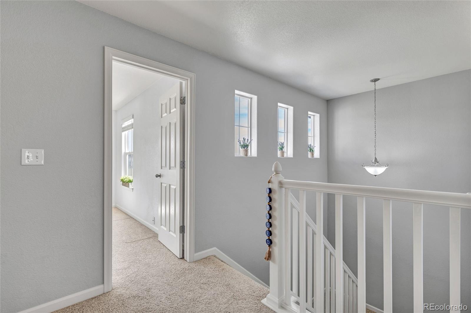 MLS Image #18 for 17099  blue mist grove,monument, Colorado