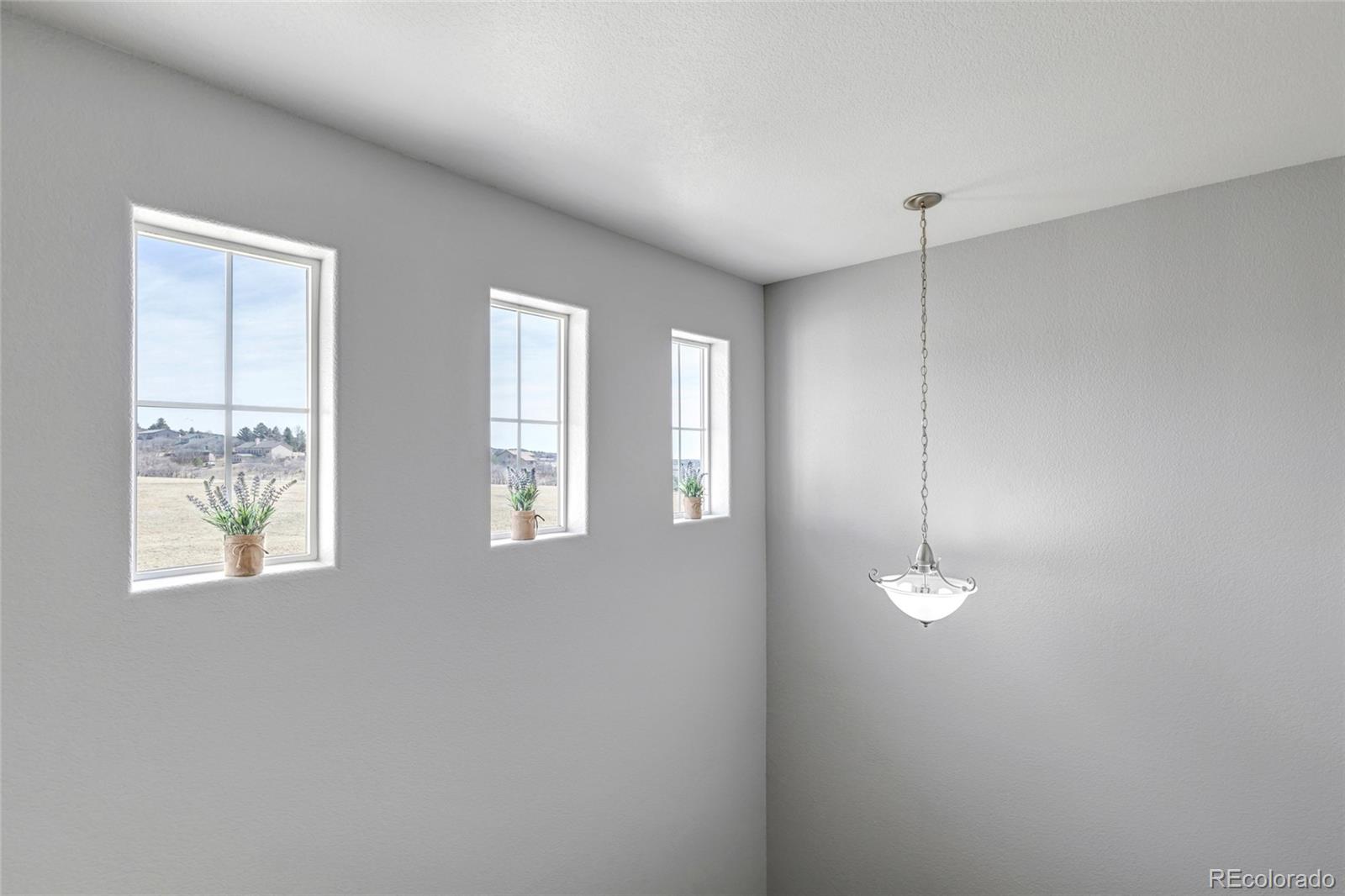 MLS Image #19 for 17099  blue mist grove,monument, Colorado