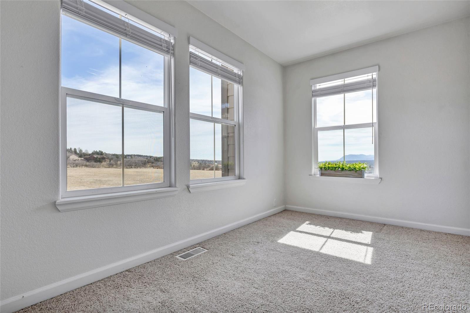 MLS Image #23 for 17099  blue mist grove,monument, Colorado
