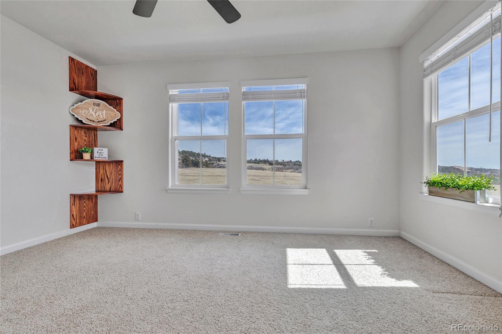 MLS Image #4 for 17099  blue mist grove,monument, Colorado