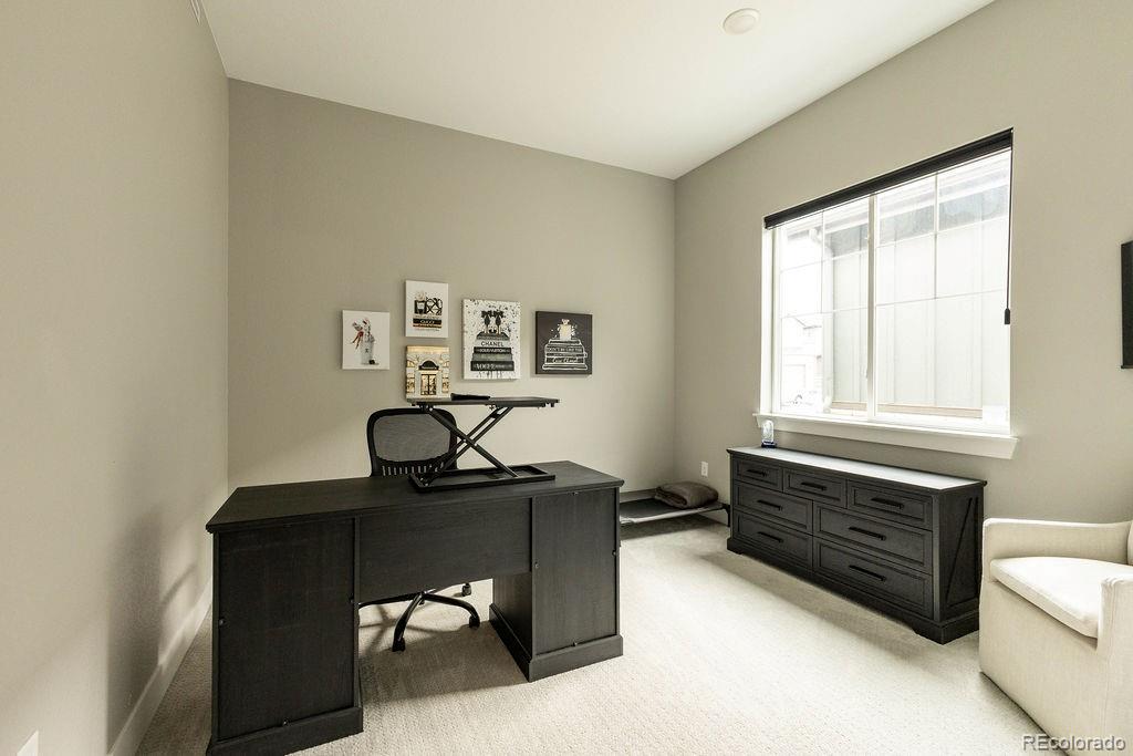 MLS Image #28 for 8677  big thompson street,littleton, Colorado