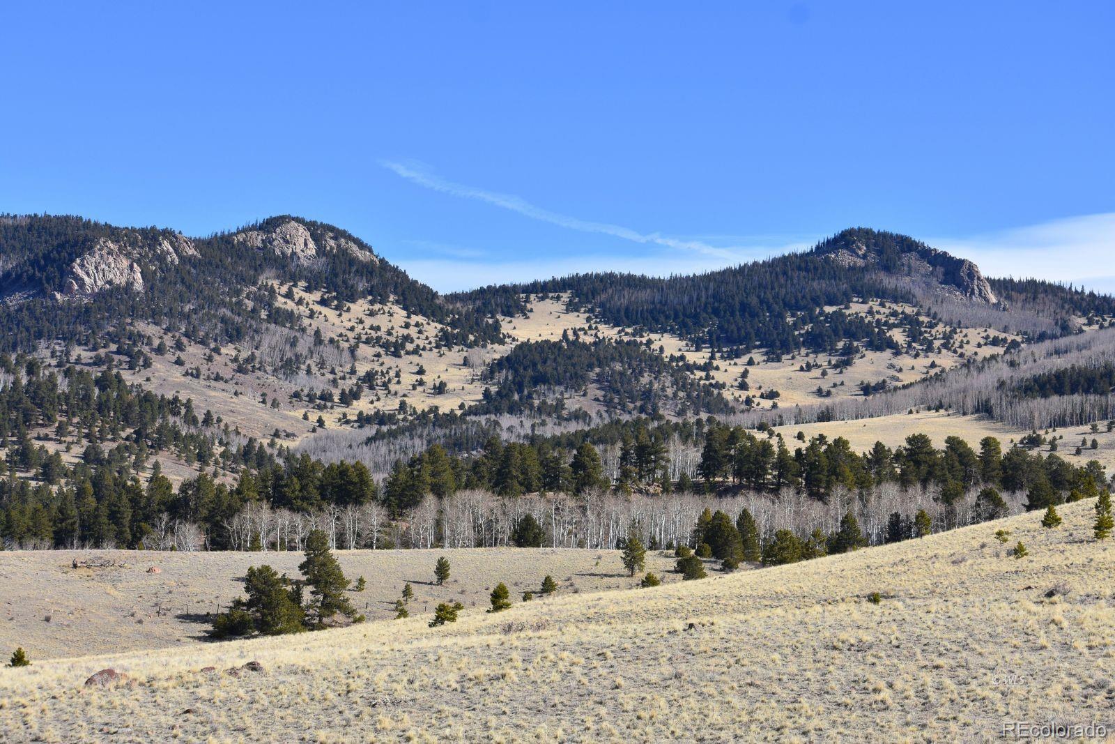 MLS Image #16 for 457  anthony avenue,westcliffe, Colorado