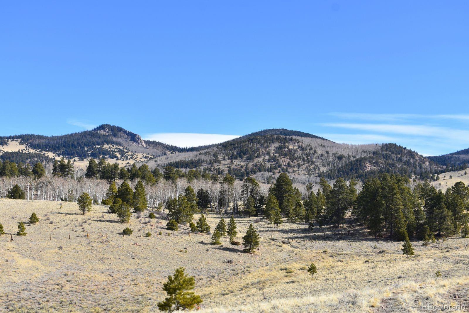 MLS Image #18 for 457  anthony avenue,westcliffe, Colorado