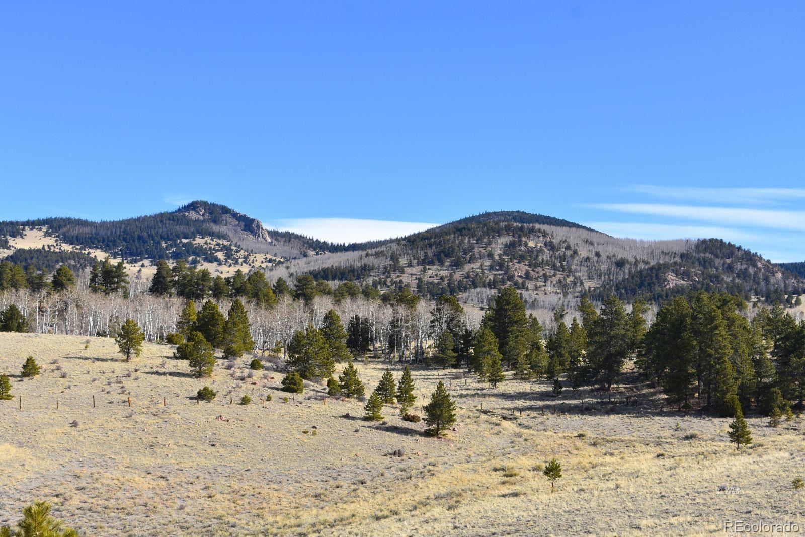 MLS Image #21 for 457  anthony avenue,westcliffe, Colorado