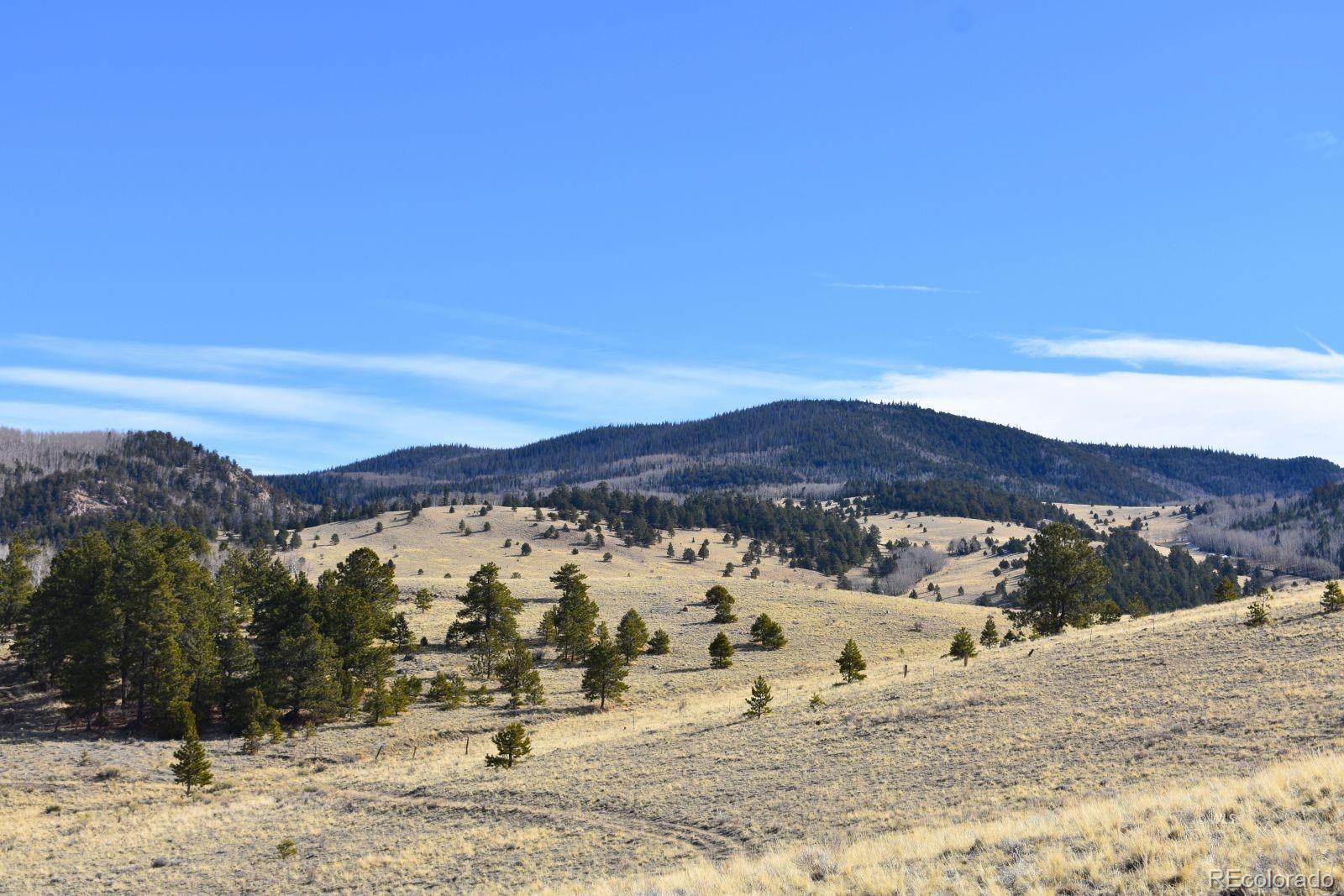 MLS Image #22 for 457  anthony avenue,westcliffe, Colorado