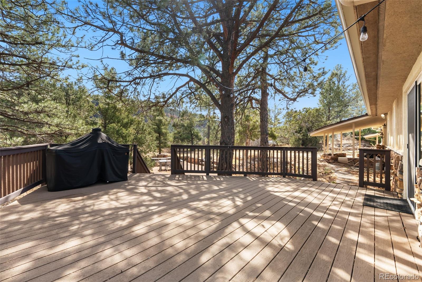 MLS Image #17 for 11545  calle corvo ,colorado springs, Colorado