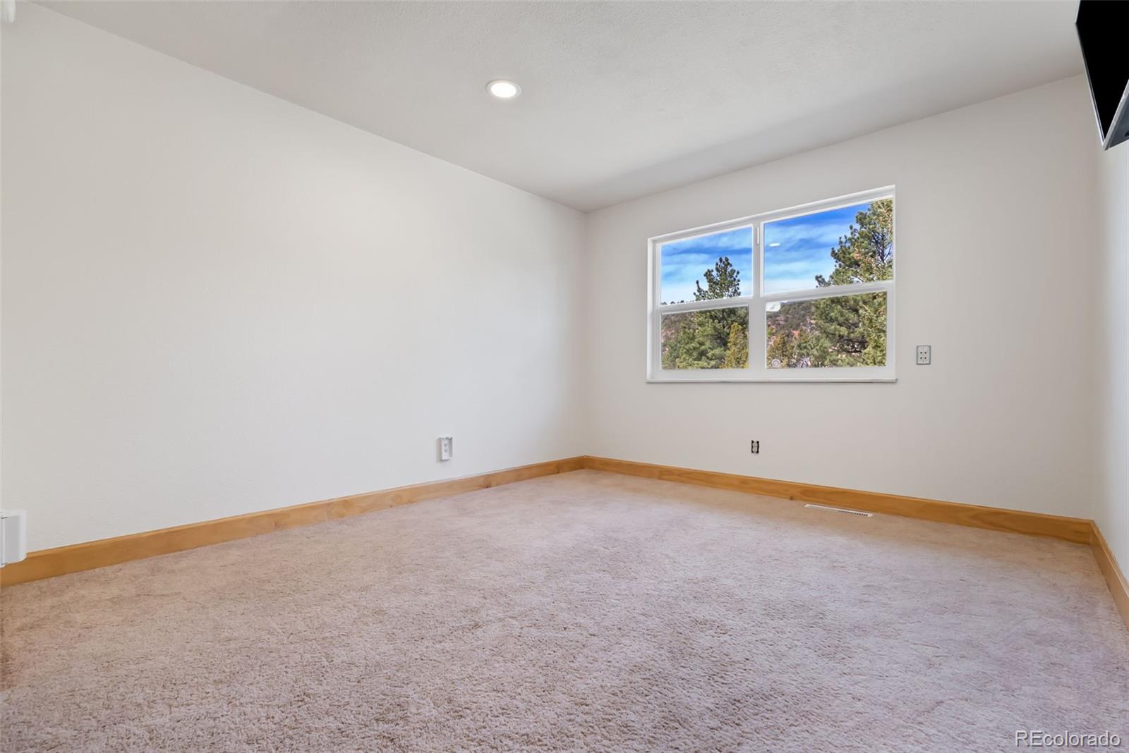 MLS Image #20 for 11545  calle corvo ,colorado springs, Colorado