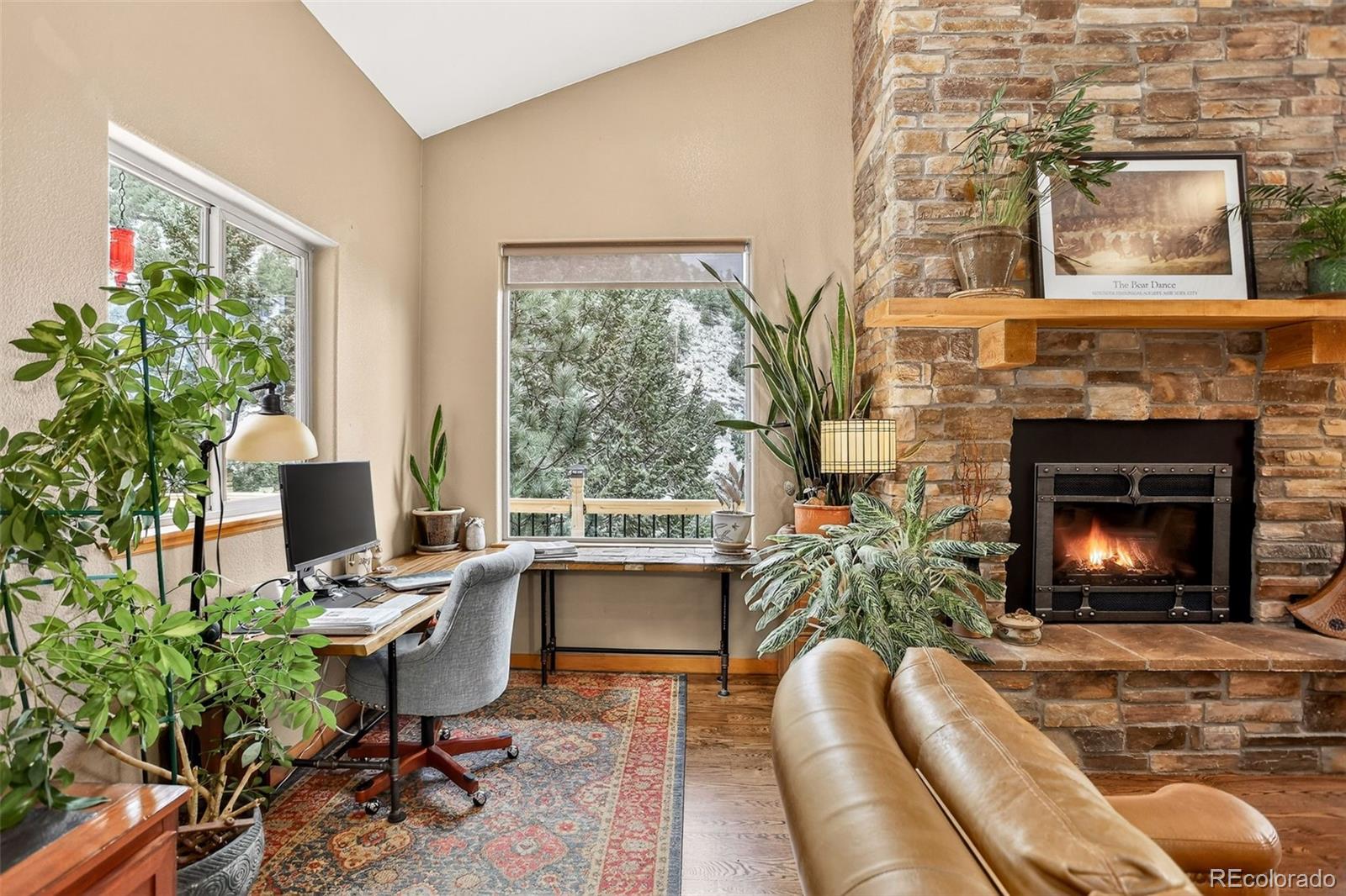 MLS Image #19 for 940 s spring gulch road,idaho springs, Colorado