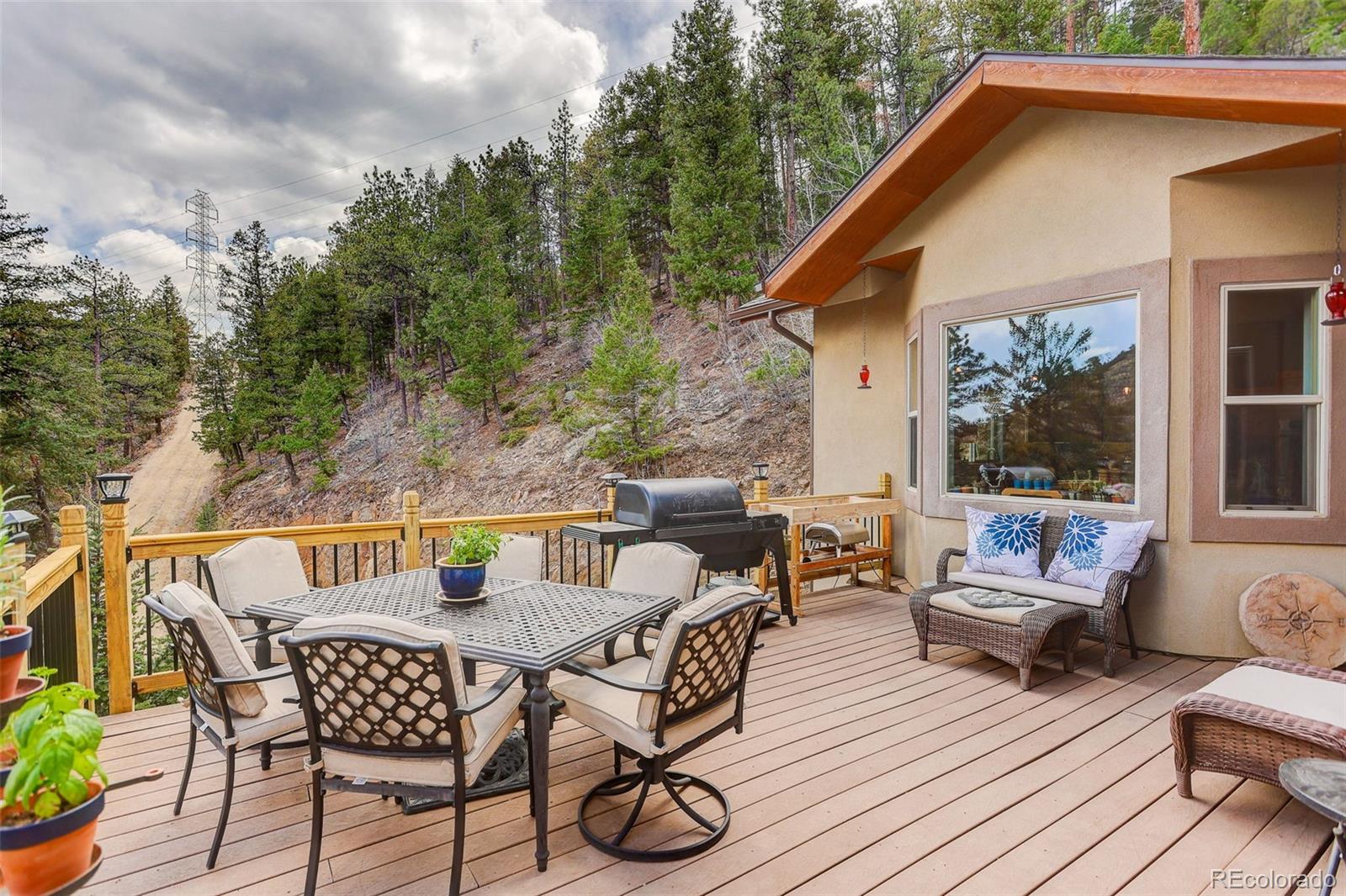 MLS Image #5 for 940 s spring gulch road,idaho springs, Colorado
