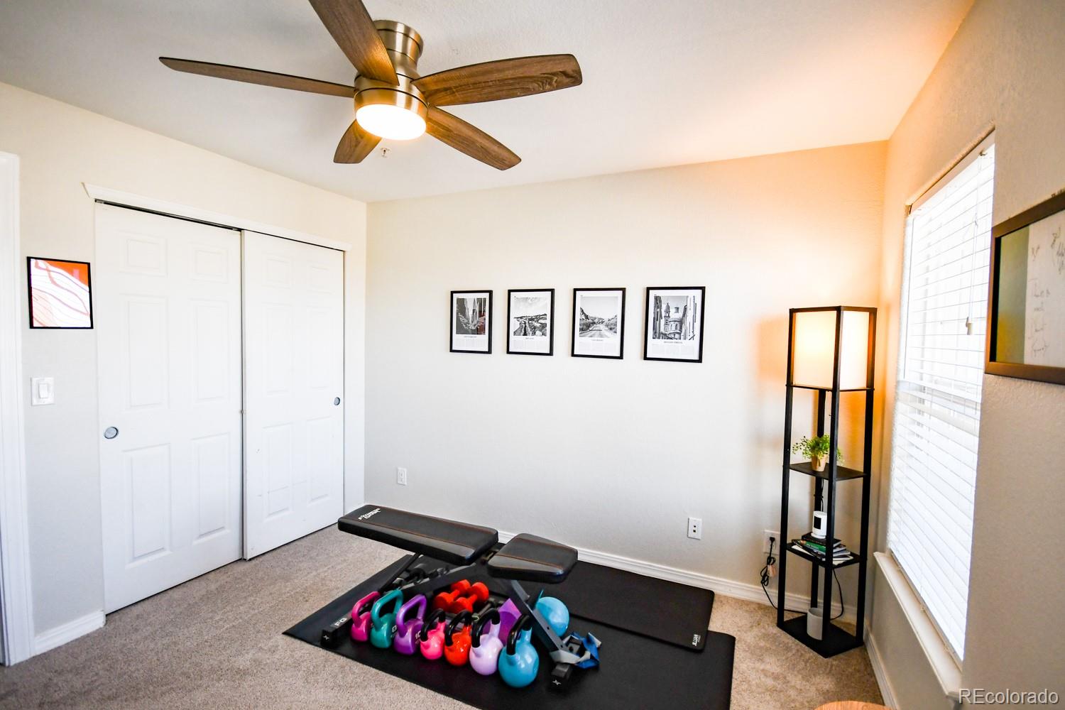 MLS Image #15 for 479  black feather loop,castle rock, Colorado