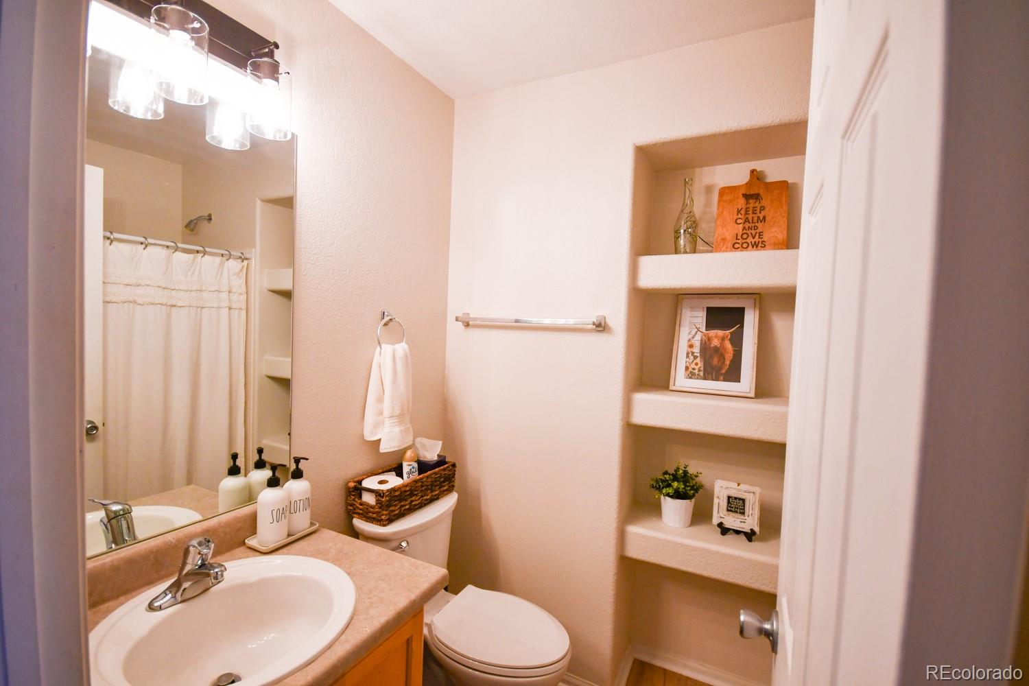 MLS Image #17 for 479  black feather loop,castle rock, Colorado