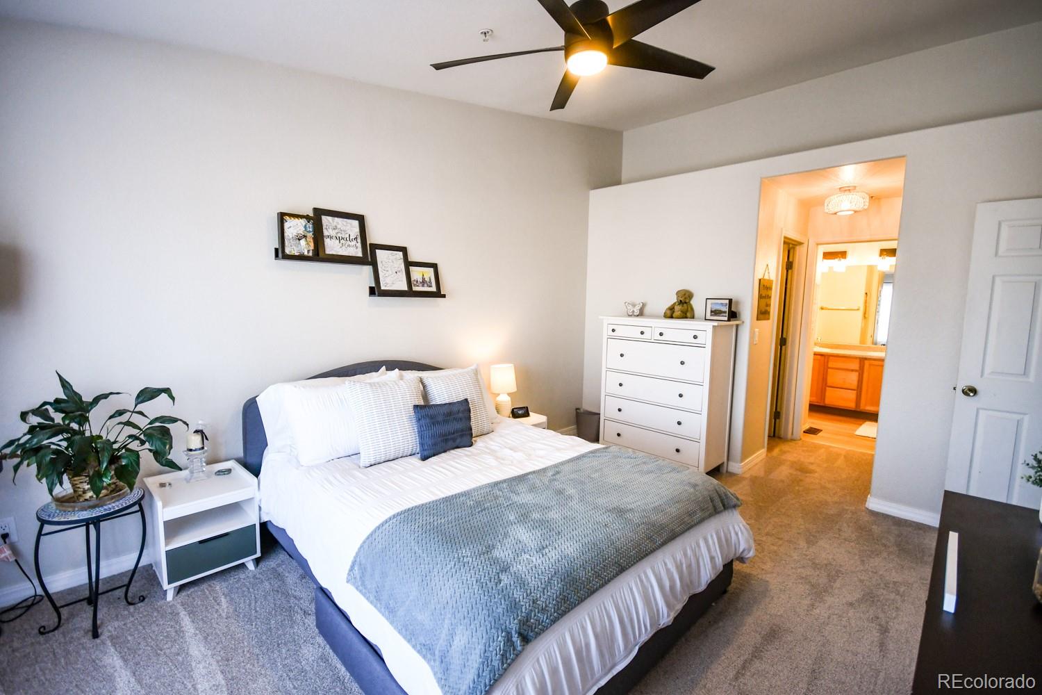 MLS Image #21 for 479  black feather loop,castle rock, Colorado
