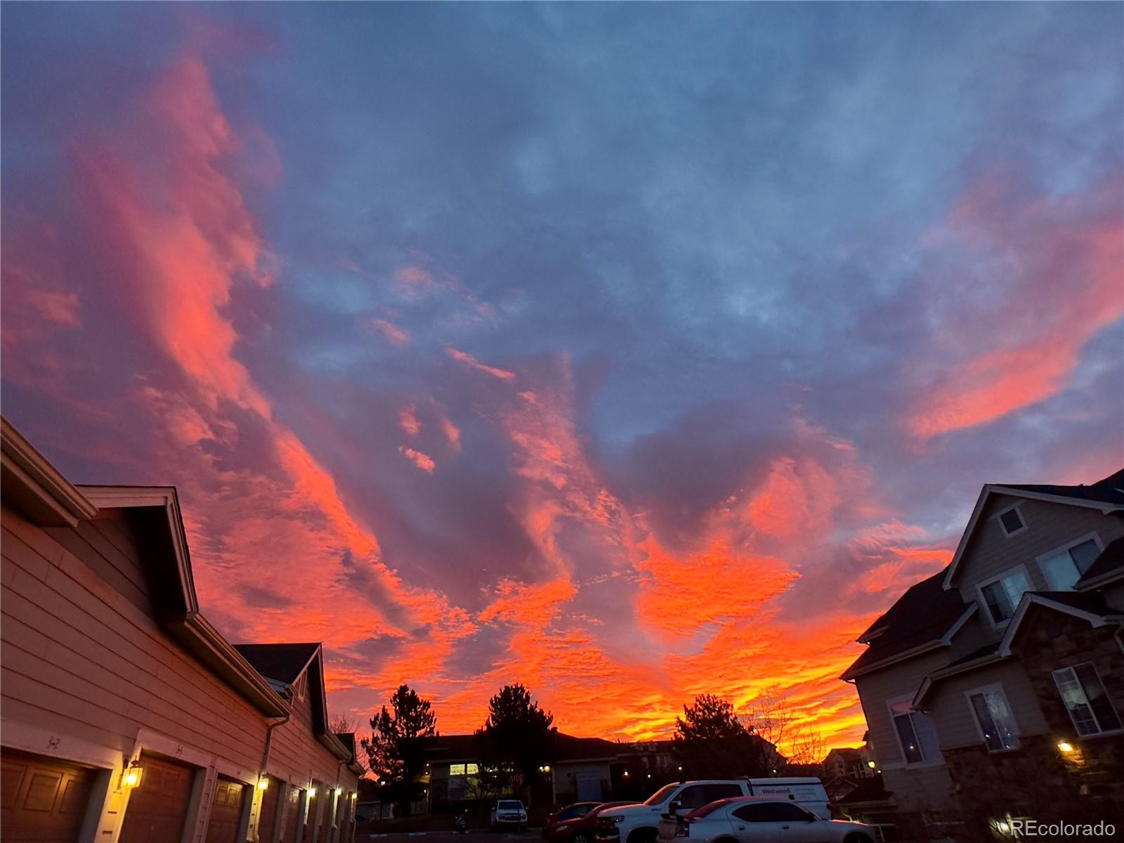 MLS Image #25 for 479  black feather loop,castle rock, Colorado