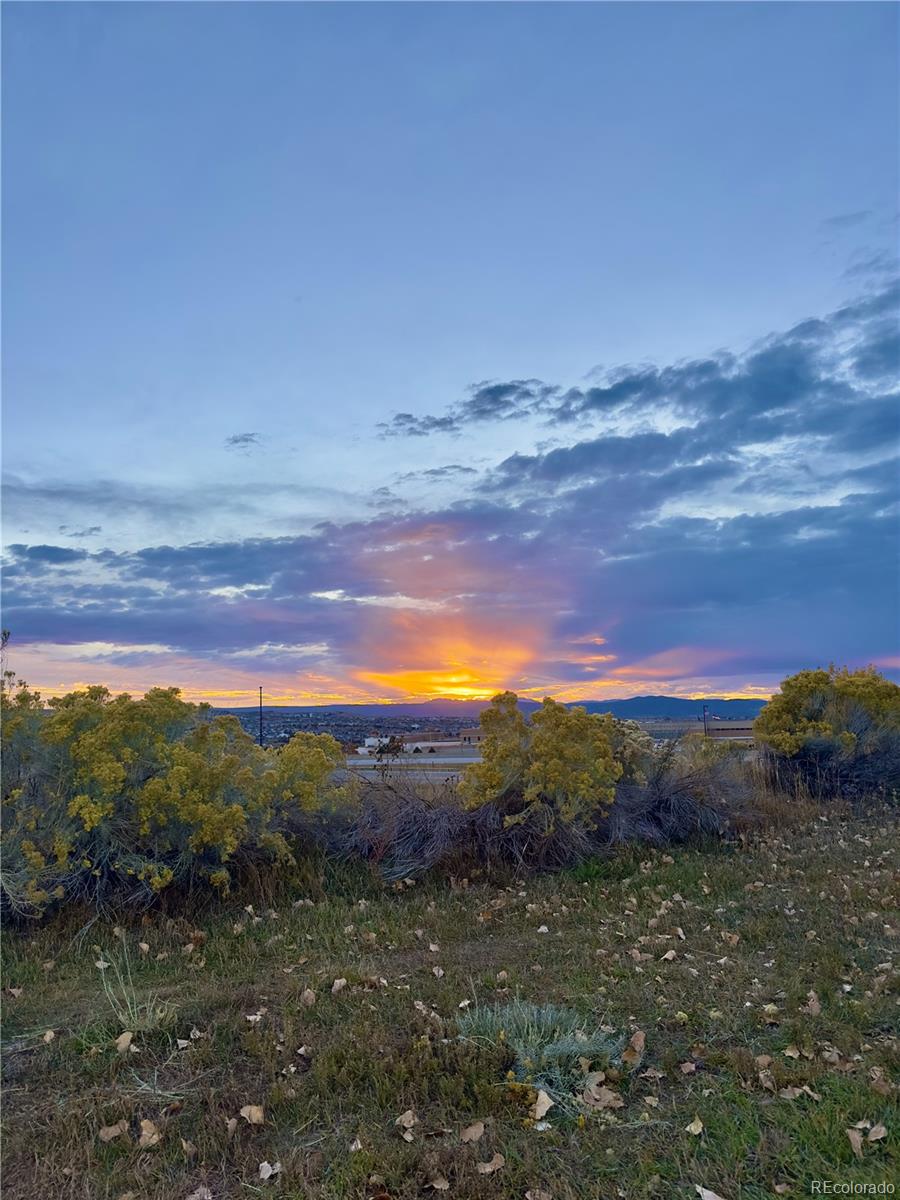MLS Image #28 for 479  black feather loop,castle rock, Colorado