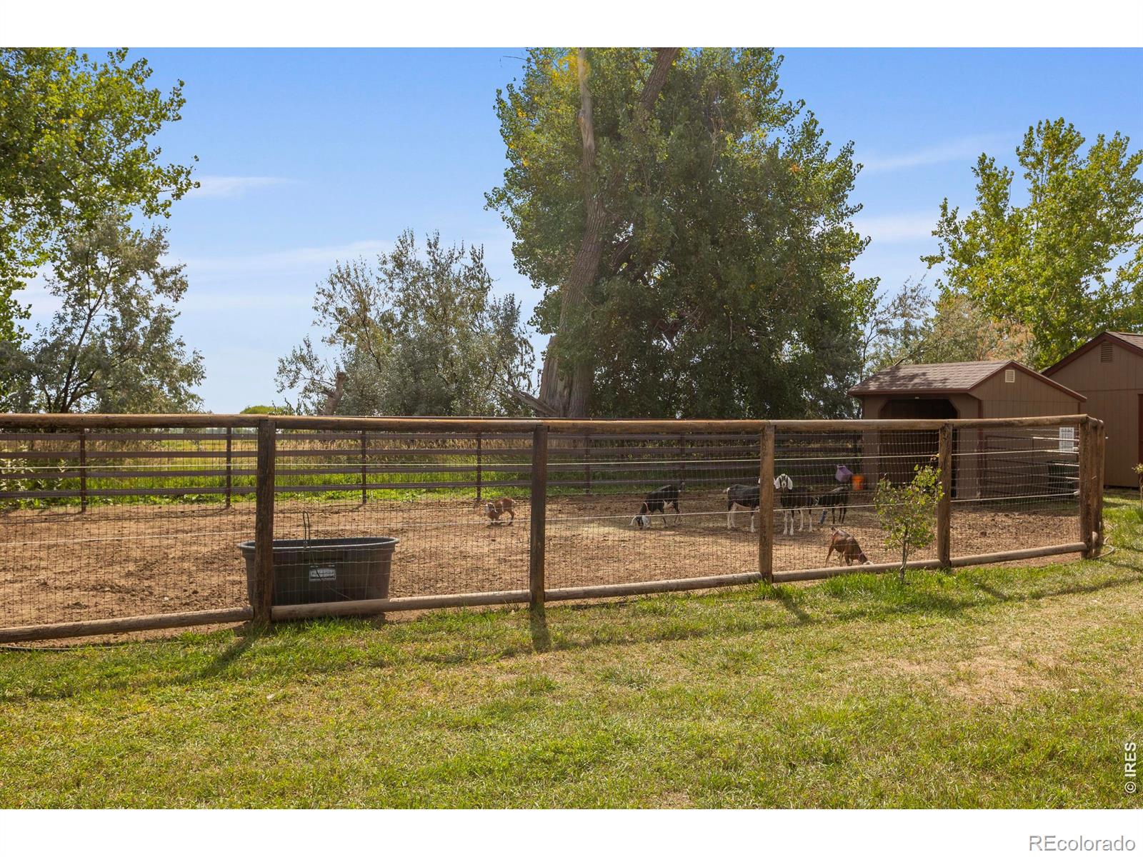 MLS Image #44 for 4260 s county road 23 ,loveland, Colorado