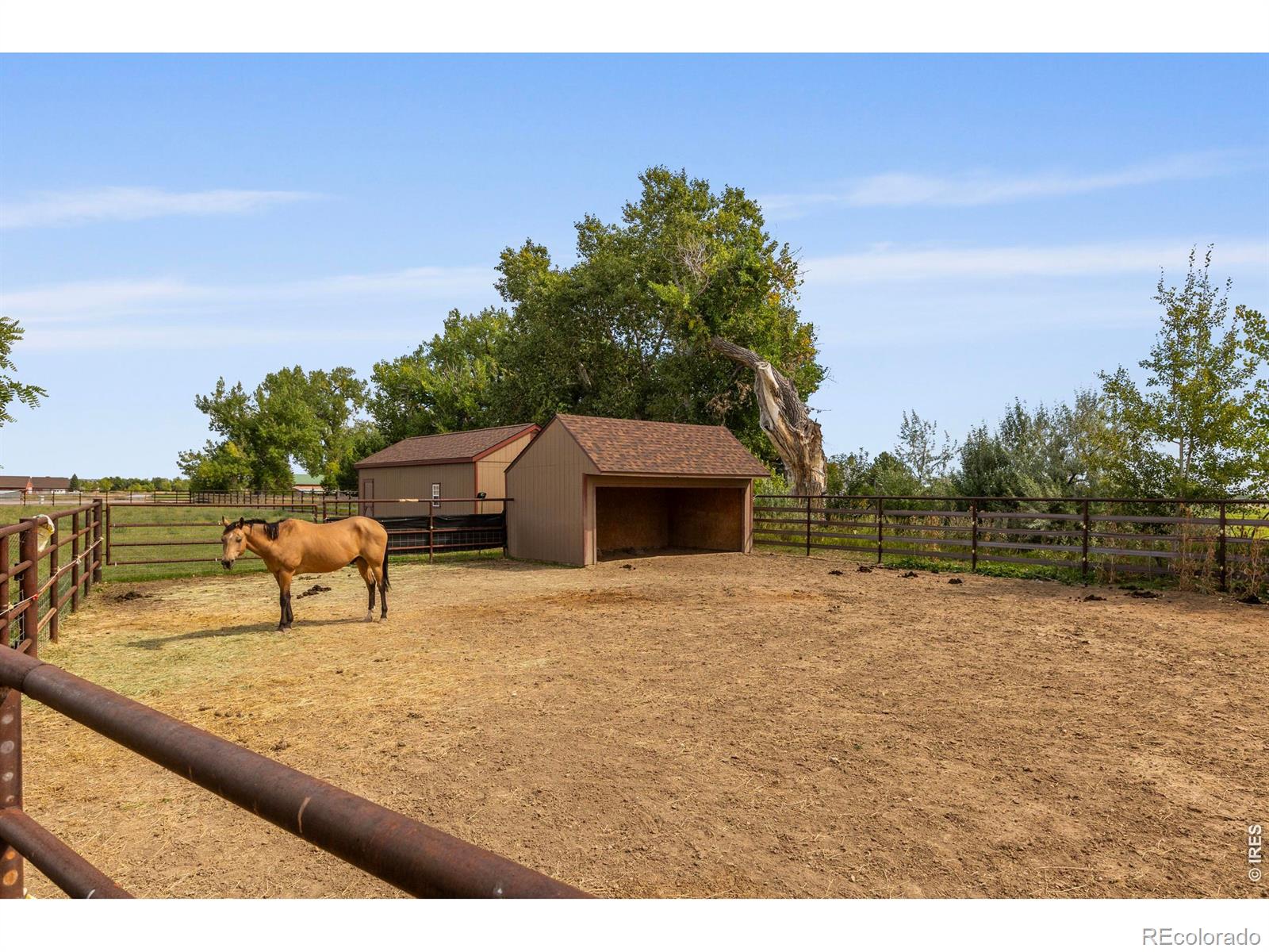 MLS Image #46 for 4260 s county road 23 ,loveland, Colorado