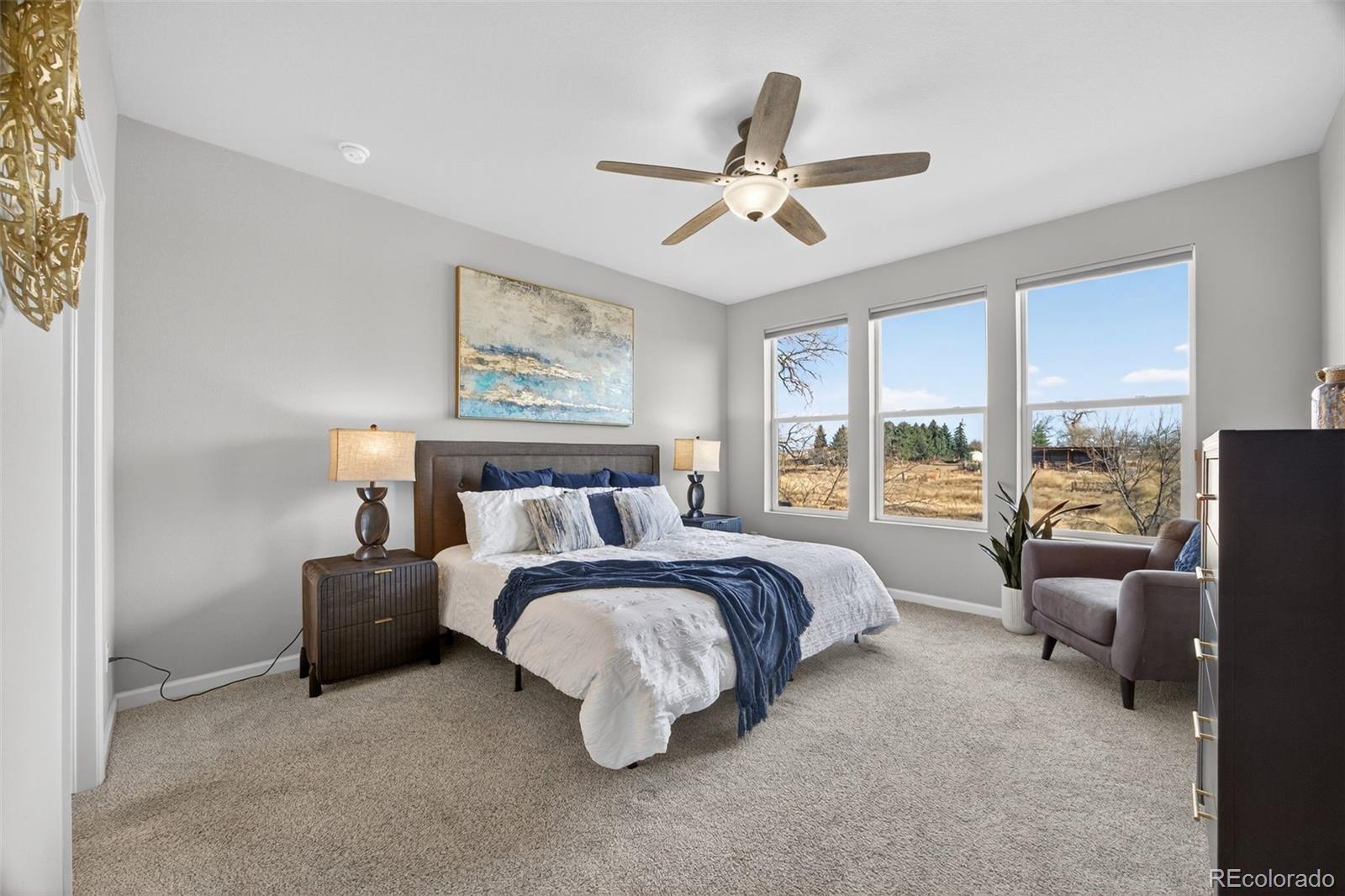 MLS Image #19 for 3085  lake helen boulevard,mead, Colorado