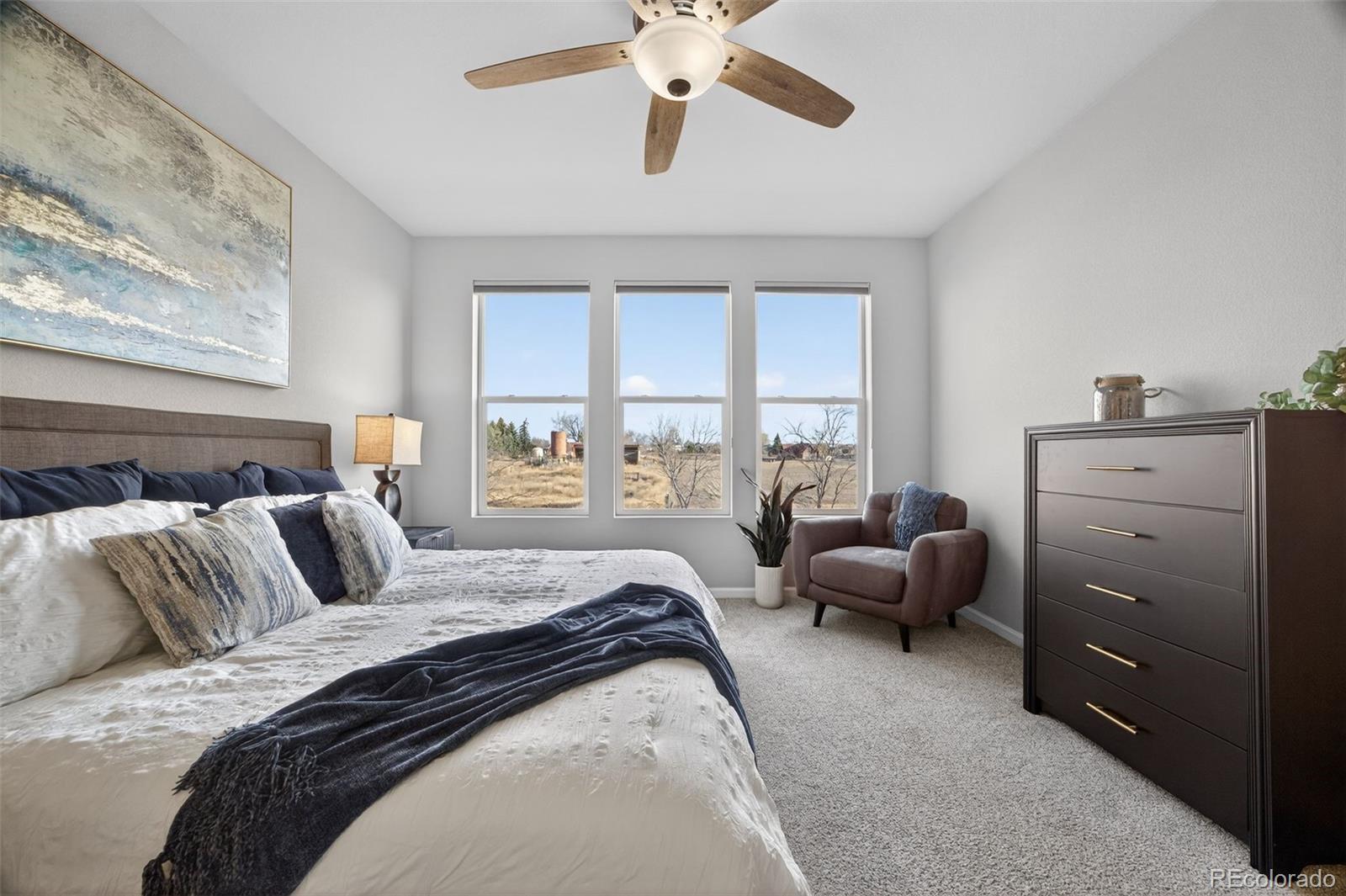 MLS Image #21 for 3085  lake helen boulevard,mead, Colorado