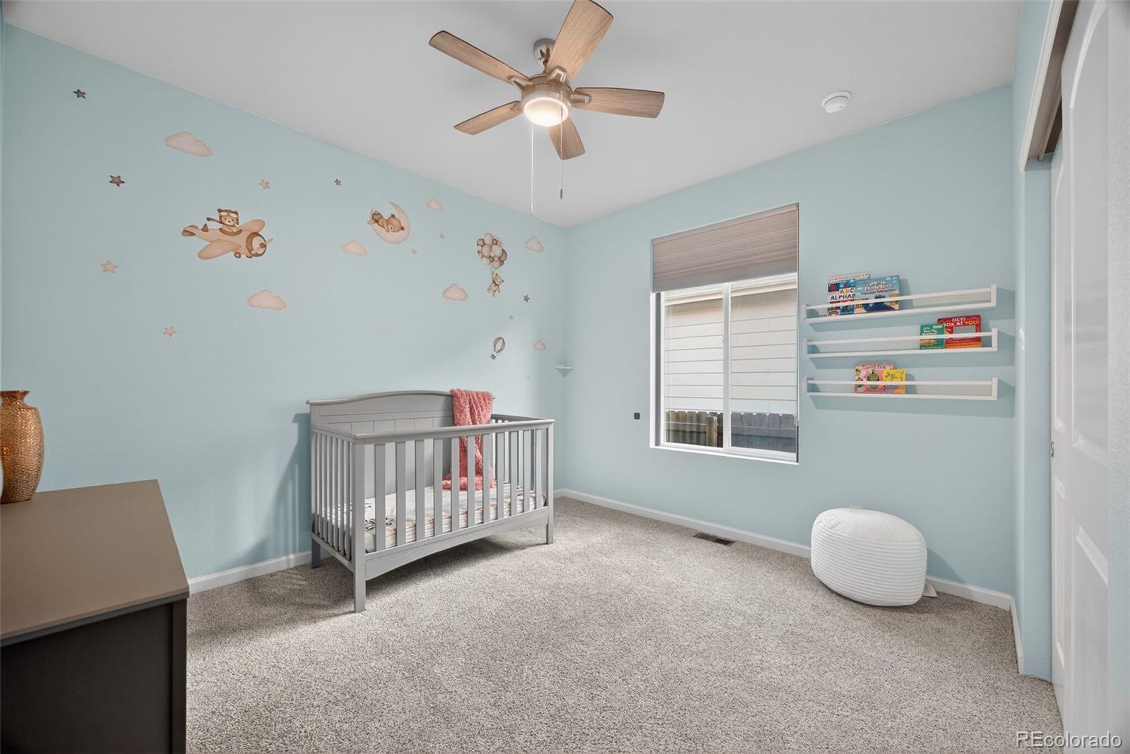 MLS Image #24 for 3085  lake helen boulevard,mead, Colorado