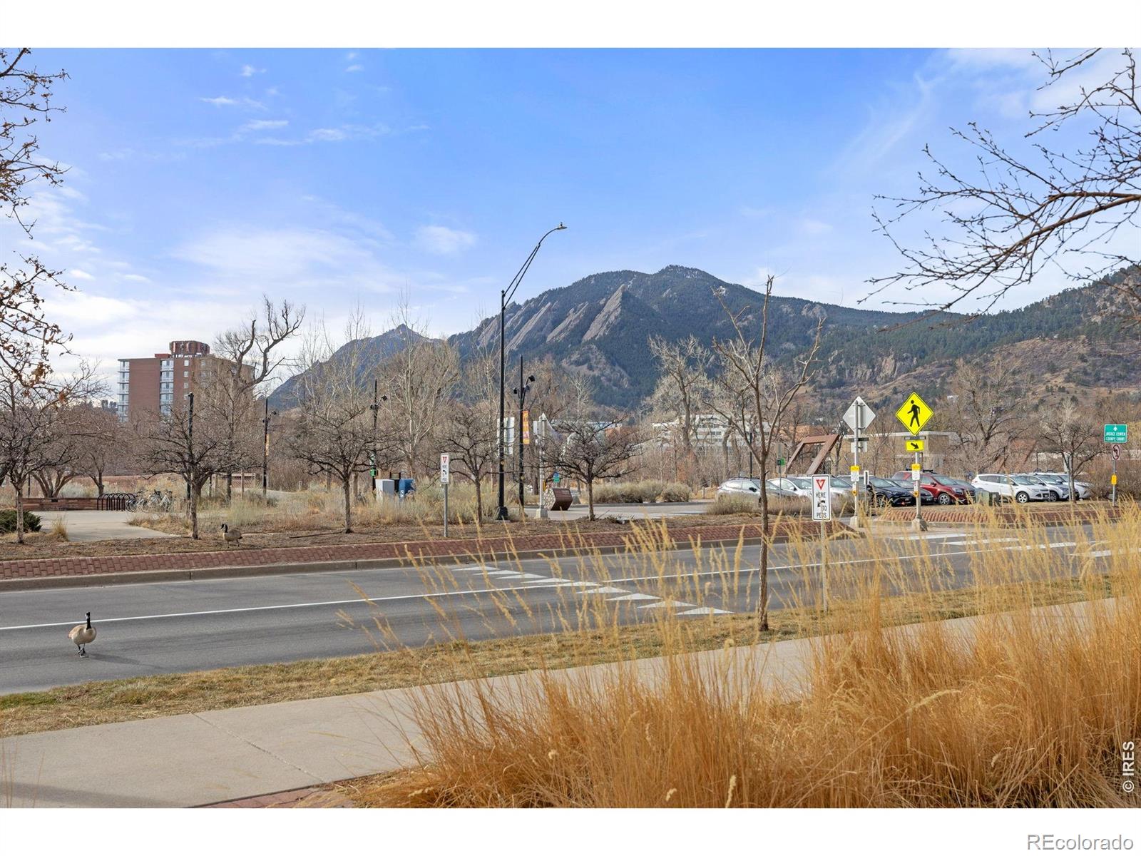 MLS Image #34 for 1155  canyon boulevard,boulder, Colorado