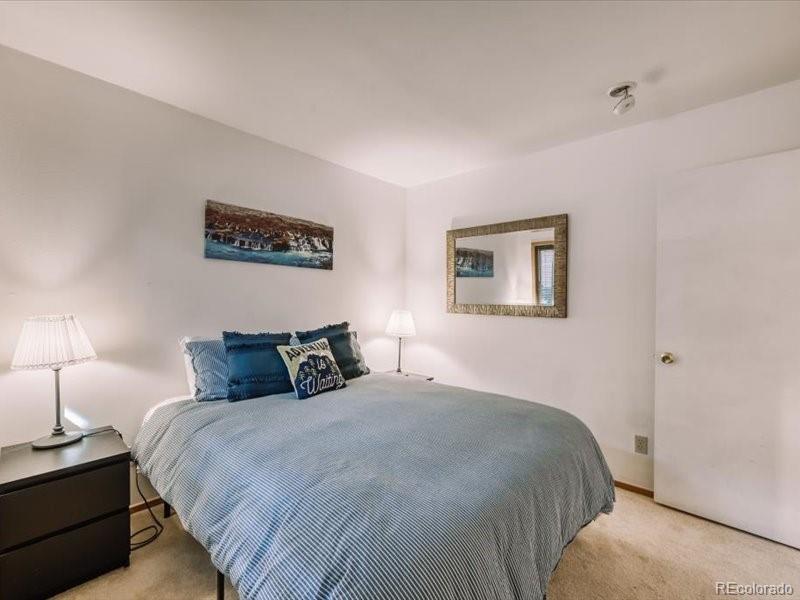 MLS Image #18 for 410  bayview drive,frisco, Colorado
